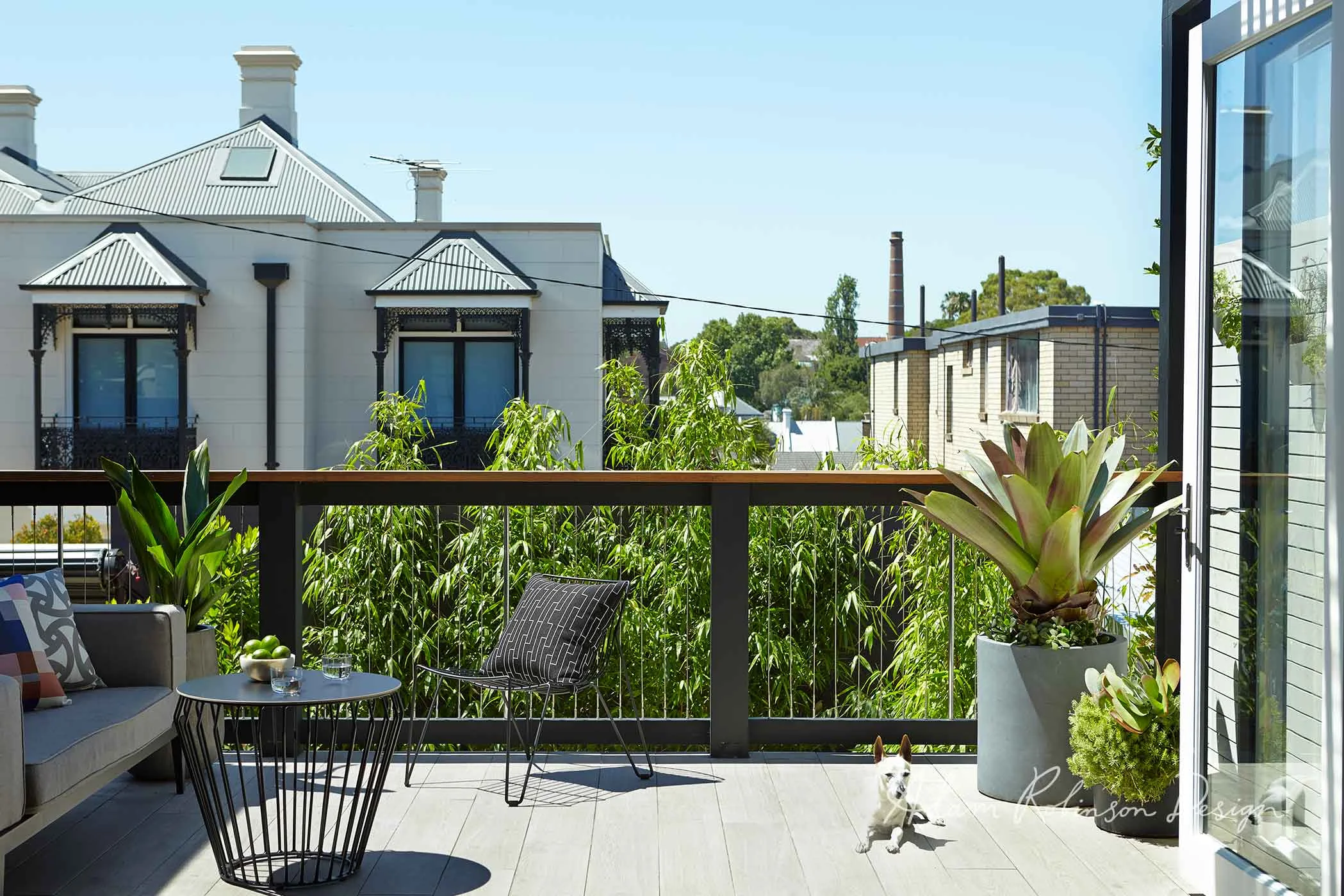 Rooftop Balcony Garden Glebe — Adam Robinson Design