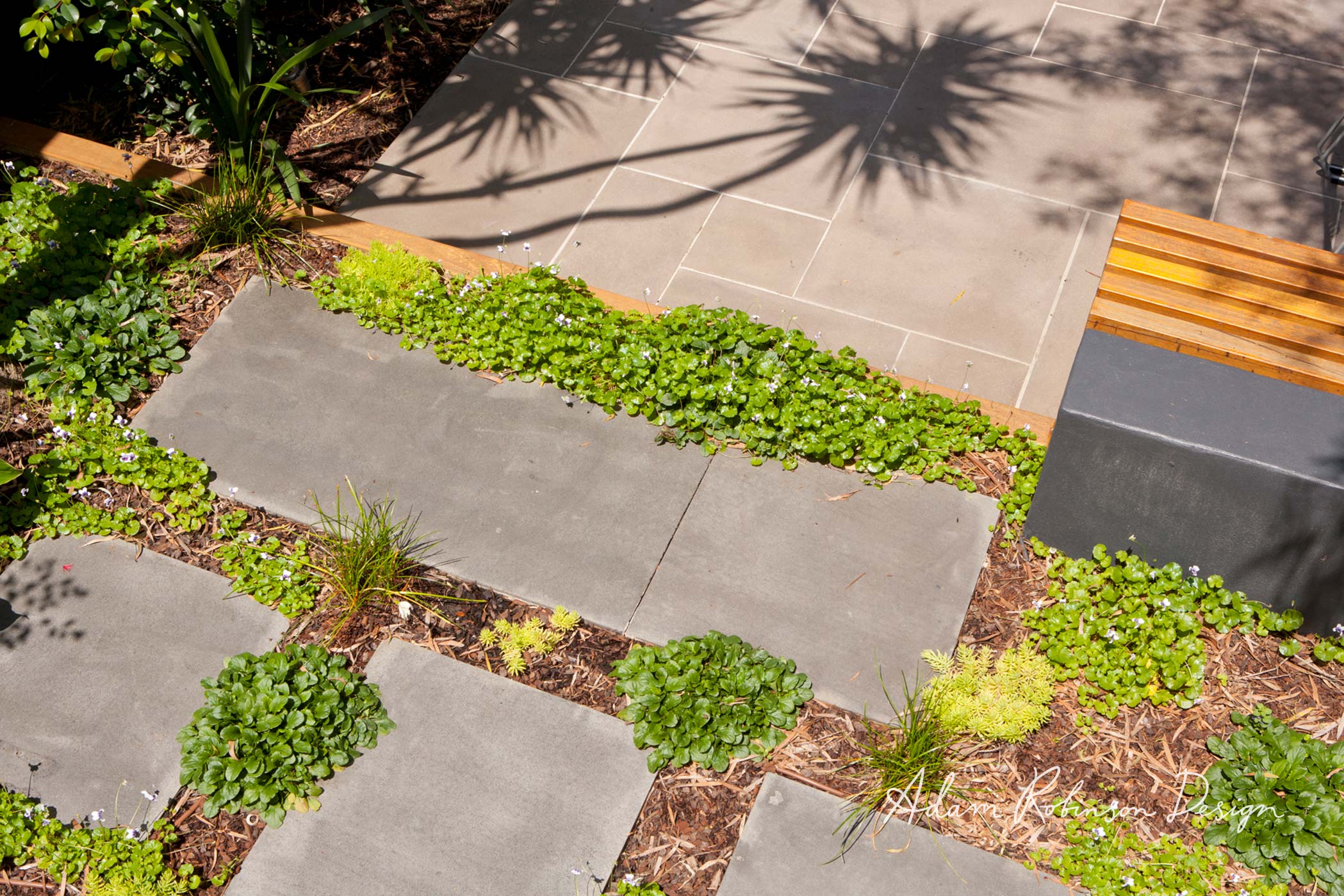 Landscape Design Newtown — Adam Robinson Design