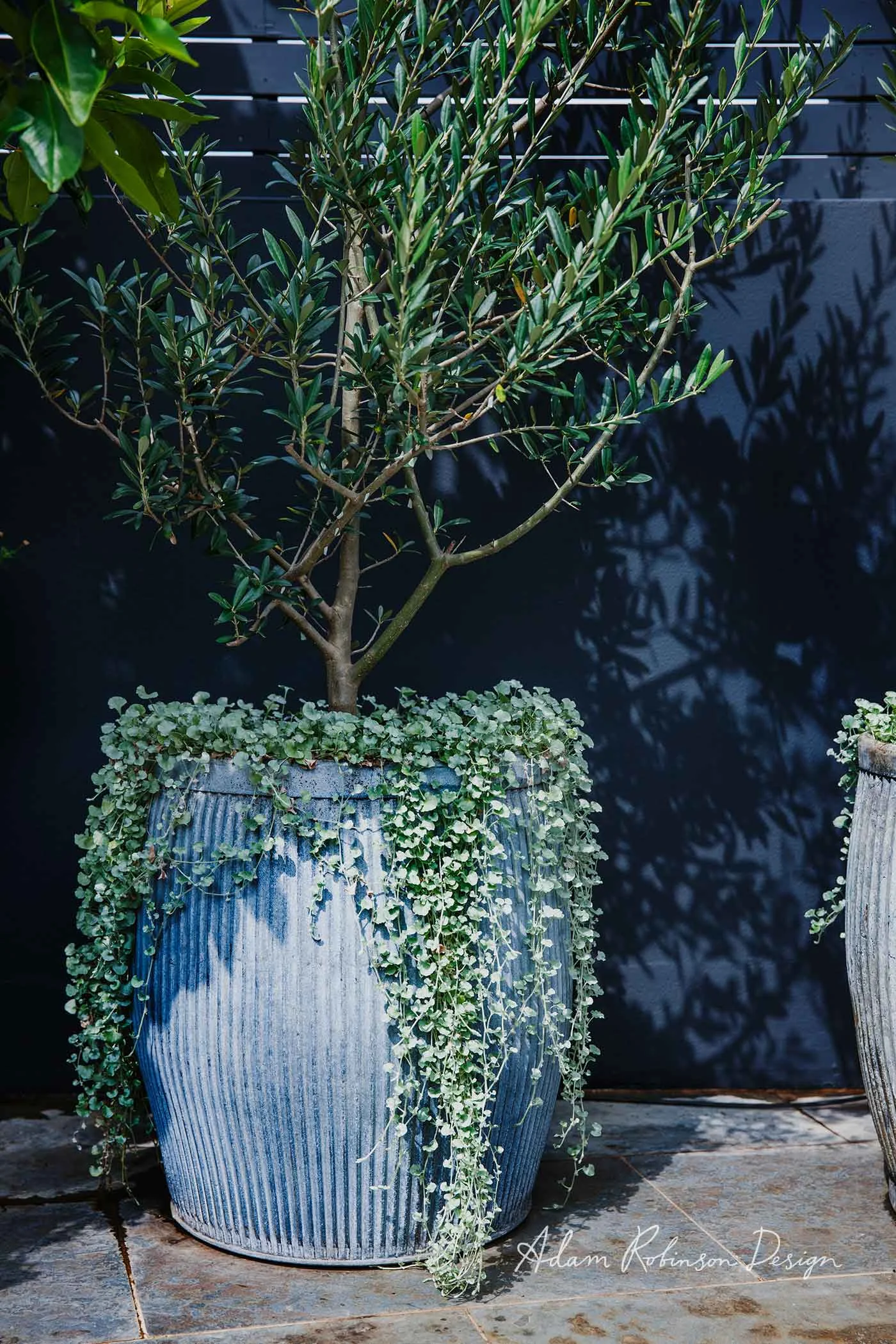 ©-Adam-Robinson-Design-Landscape-Design-Project-03-Redfern-Rooftop-04.jpg