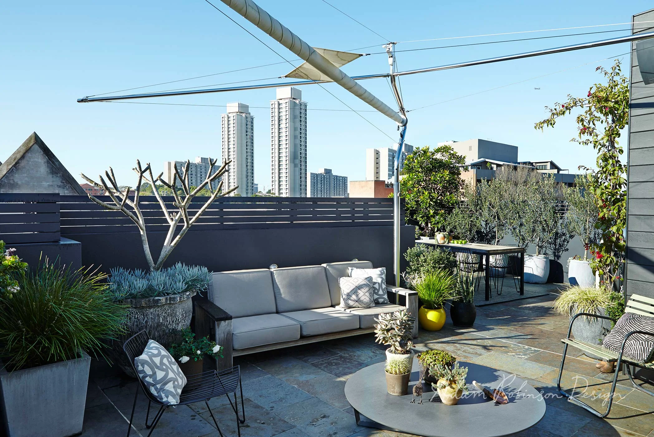 ©-Adam-Robinson-Design-Landscape-Design-Project-03-Redfern-Rooftop-03.jpg