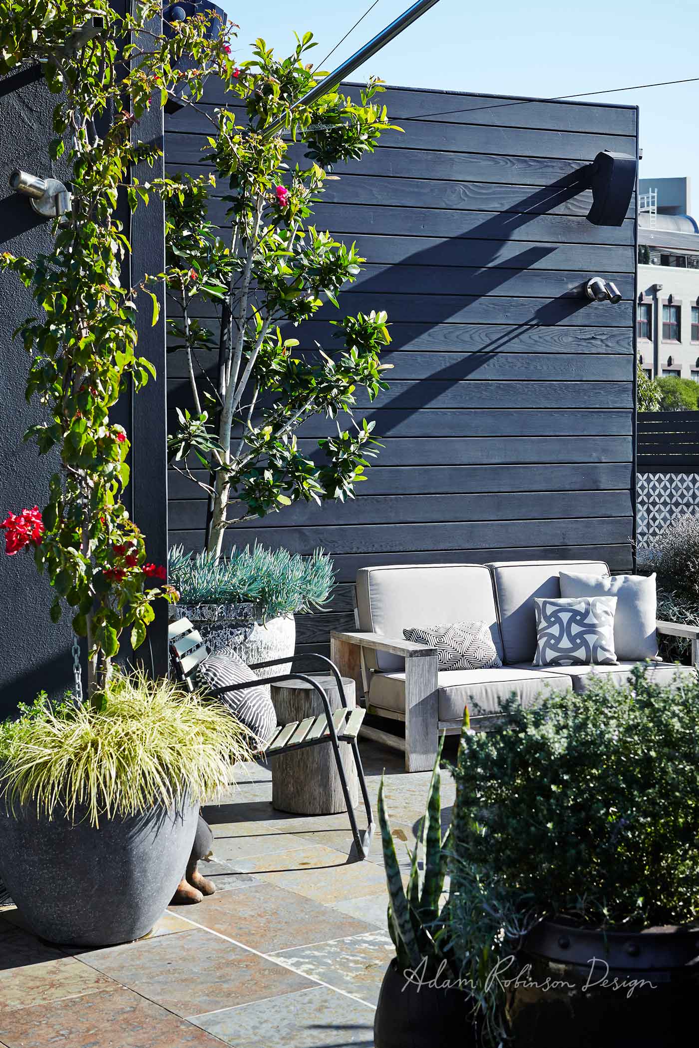 landscape-design-redfern-adam-robinson-design