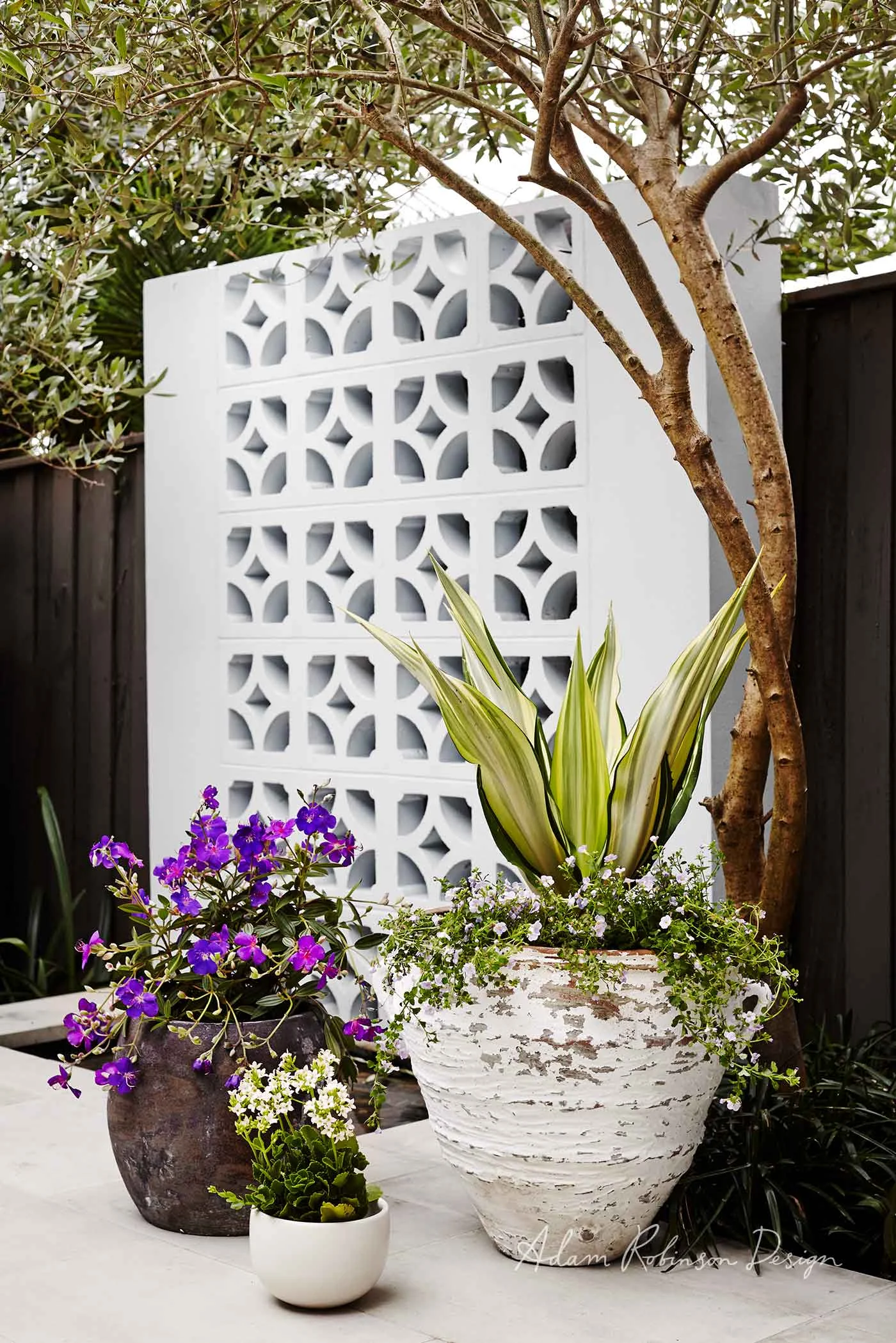 ©-Adam-Robinson-Design-Landscape-Design-Project-05-Fairlight-08.jpg