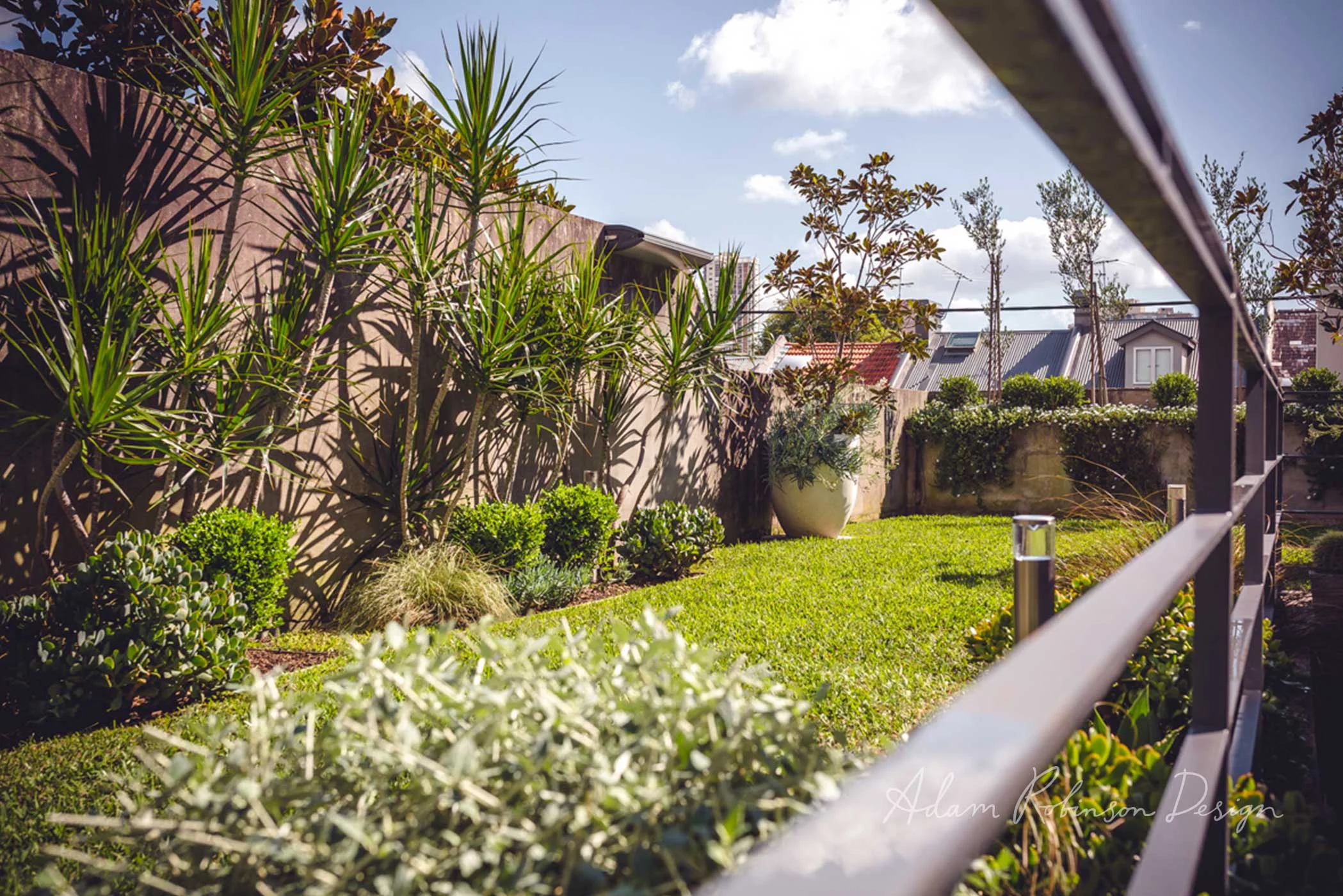 ©-Adam-Robinson-Design-Landscape-Design-Project-07-Paddington-04.jpg