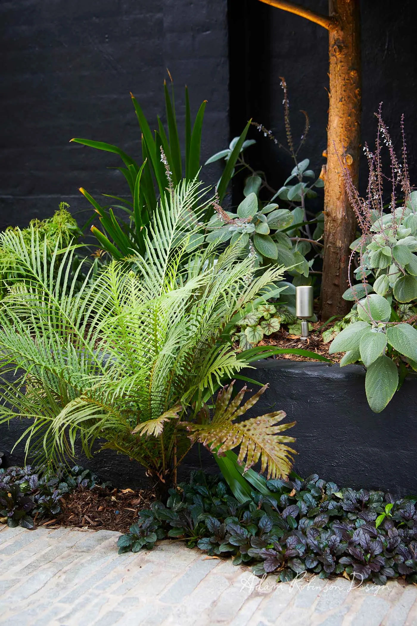 Landscape Design Greenwich — Adam Robinson Design