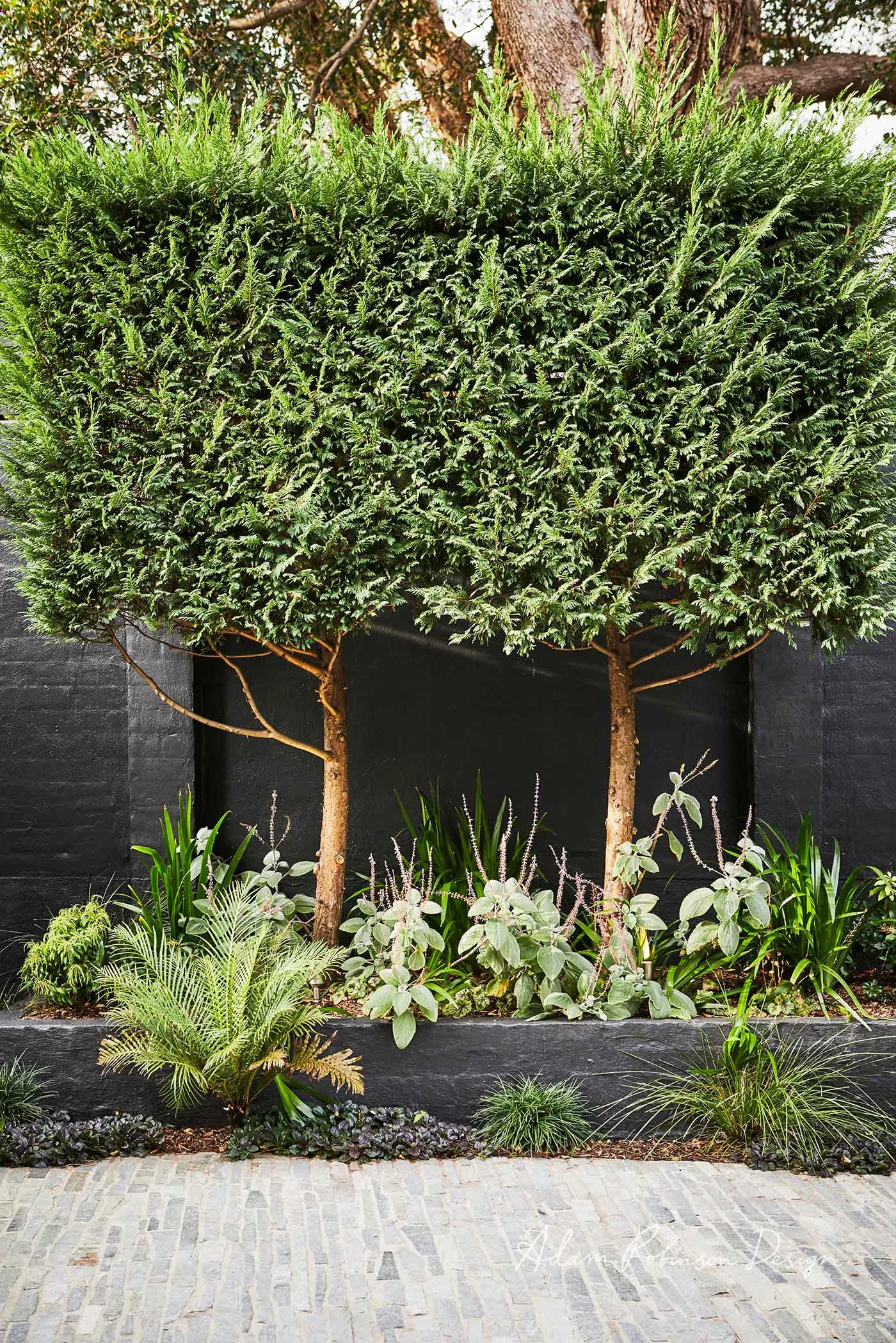 Landscape Design Project Greenwich gallery — Adam Robinson Design