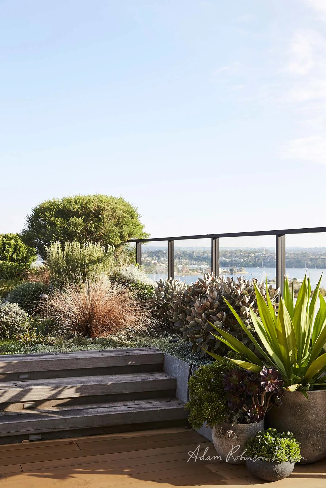 ©-Adam-Robinson-Design-Landscape-Design-Rozelle-Project-07.jpg
