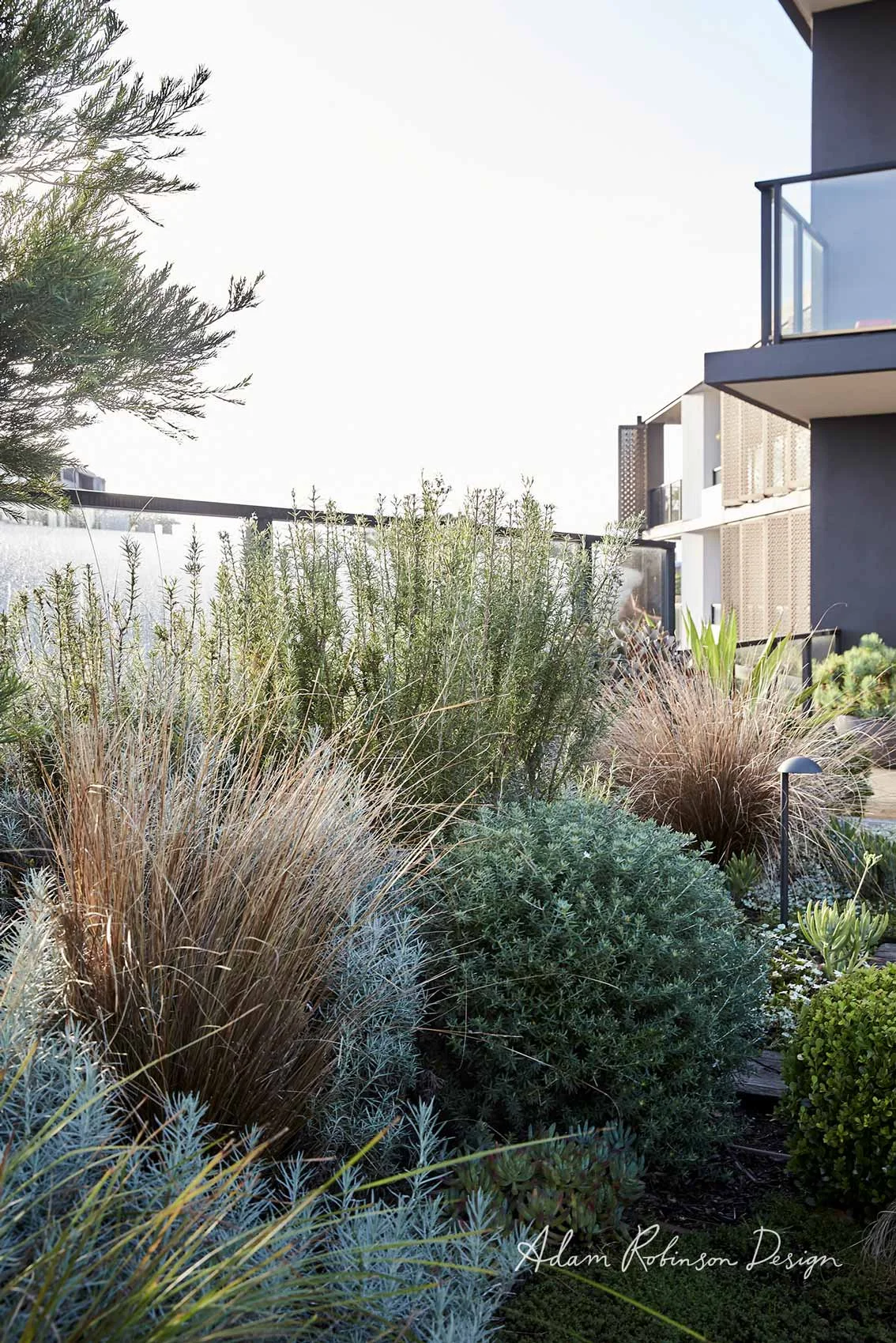 Rozelle Rooftop Garden