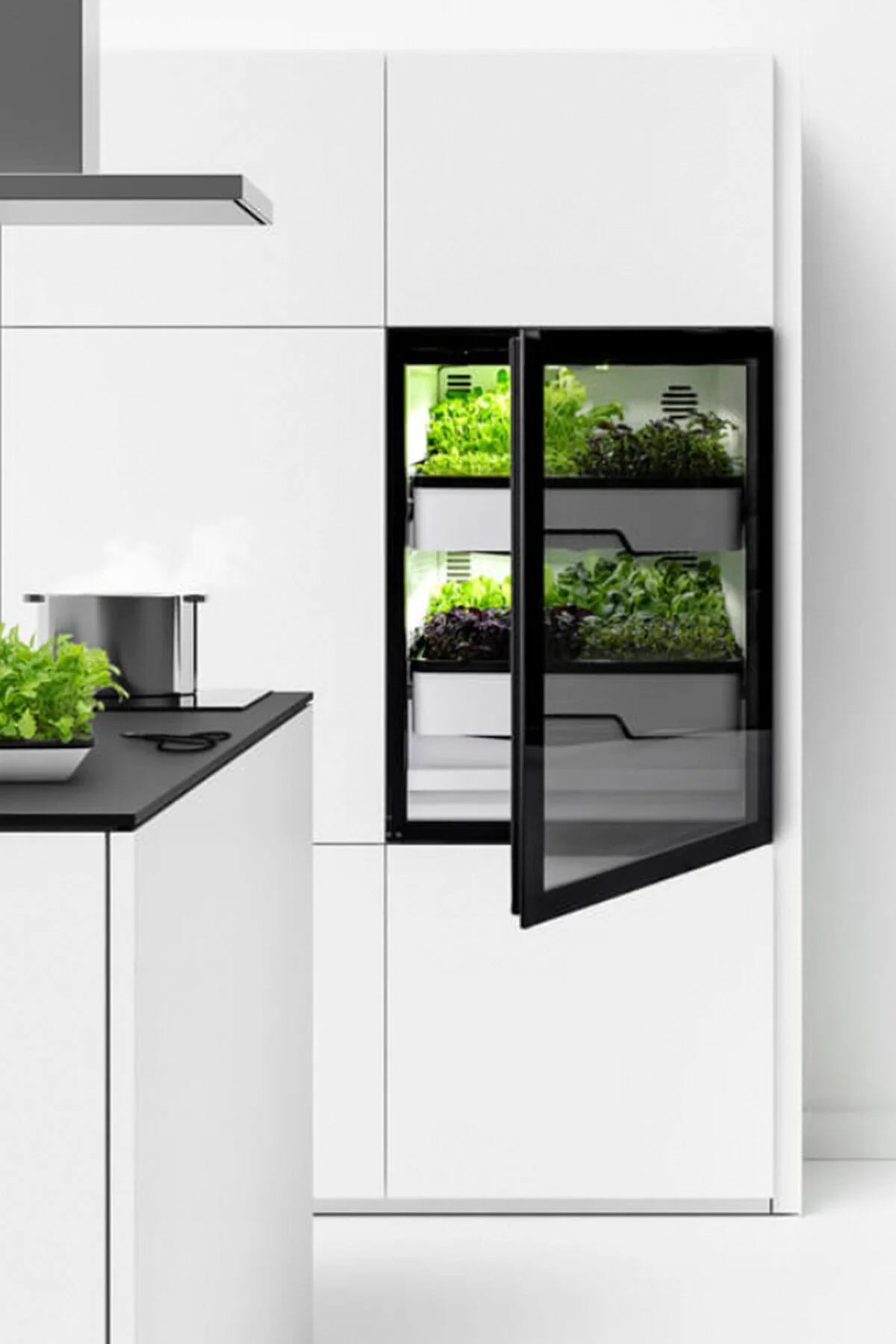 Plantcube