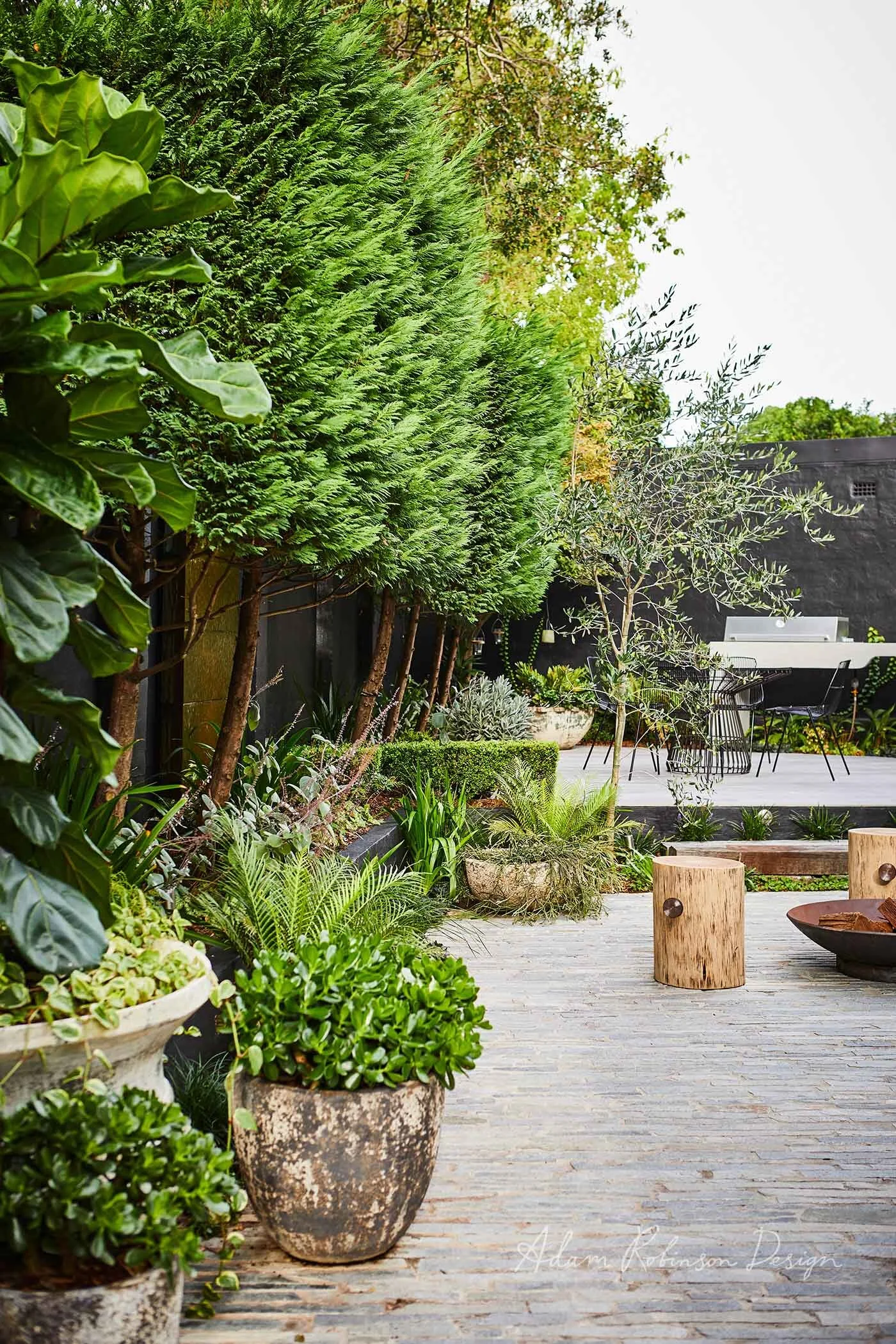 STYLE TIP Tree Potting — Adam Robinson Design