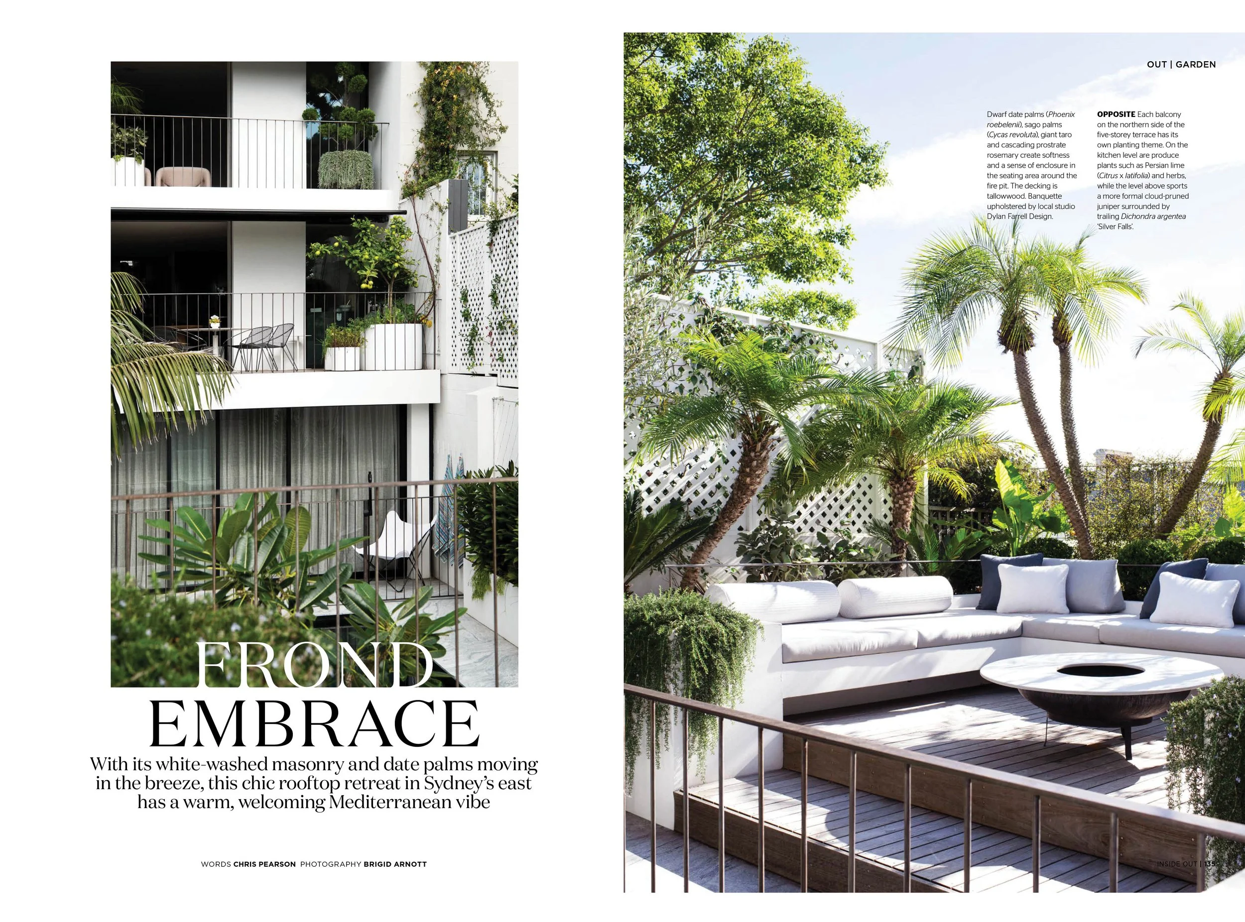 Modern Riad — Adam Robinson Design