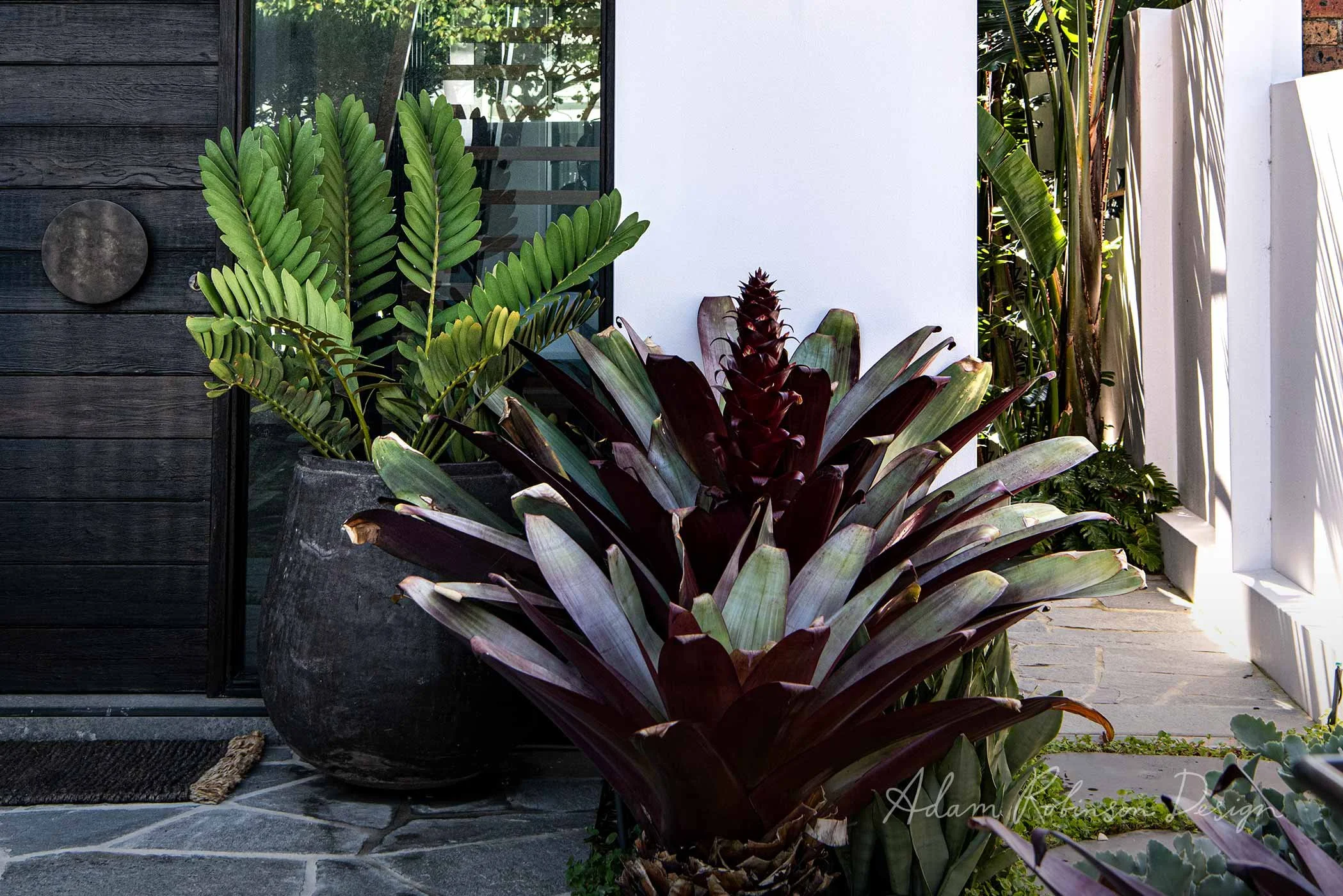 landscape-design-clovelly-adam-robinson-design