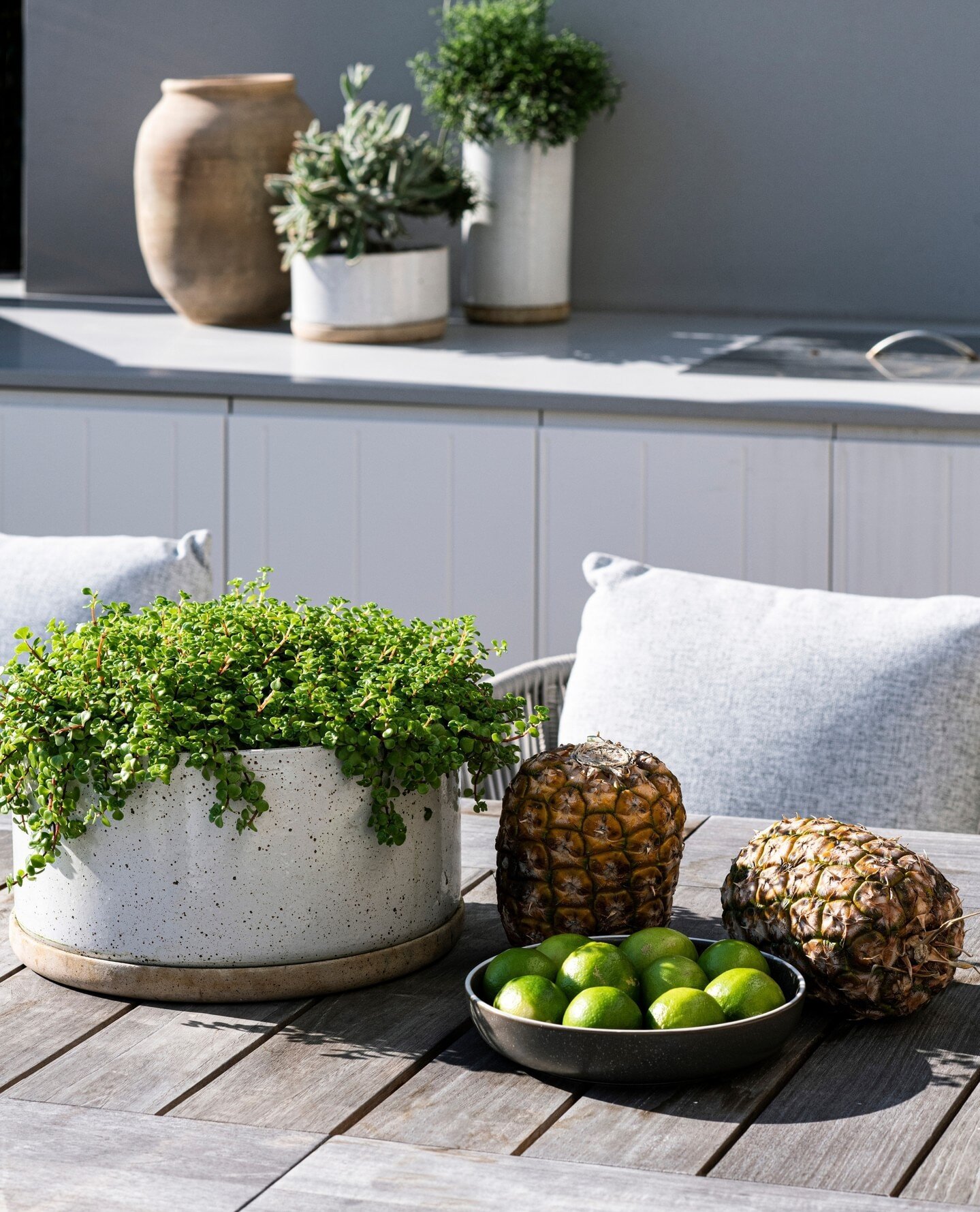 Extend your garden to the table and countertops and grow fresh herbs that you can throw onto whatever you're cooking on the BBQ or add to cocktails.⁠
⁠
🍃 #linkinbio to view project⁠
📸 @suestubbs_⁠
⁠
#ARD #bettergardenbiggerlife #outdoordesign #tabl