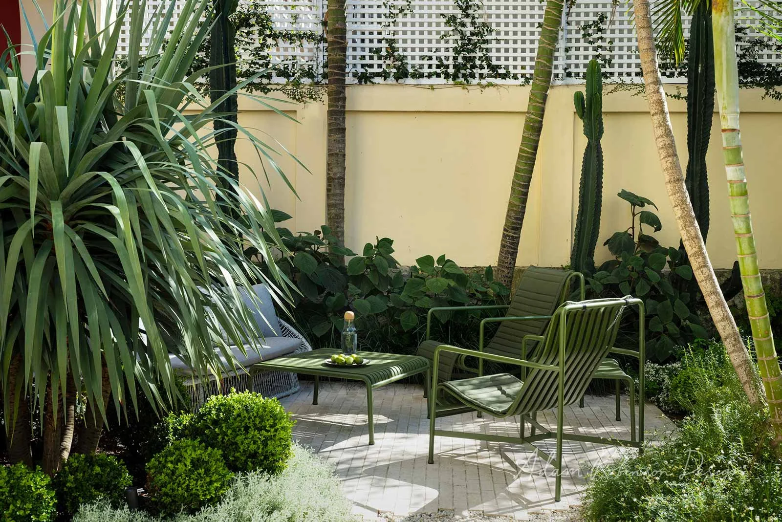 A Slice of Paradise — Adam Robinson Design