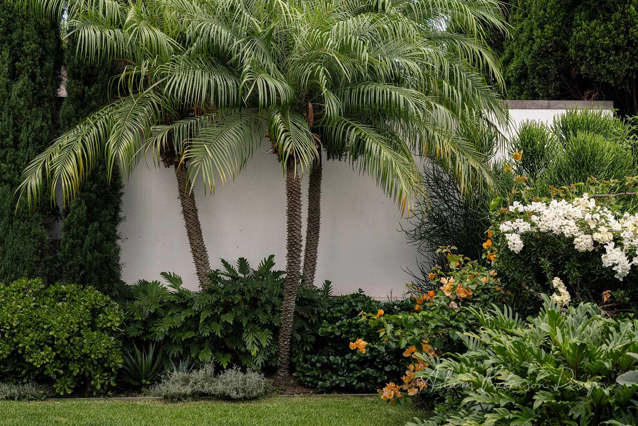 © ADAM ROBINSON DESIGN Residential Landscape Project DARLING POINT 1.jpg