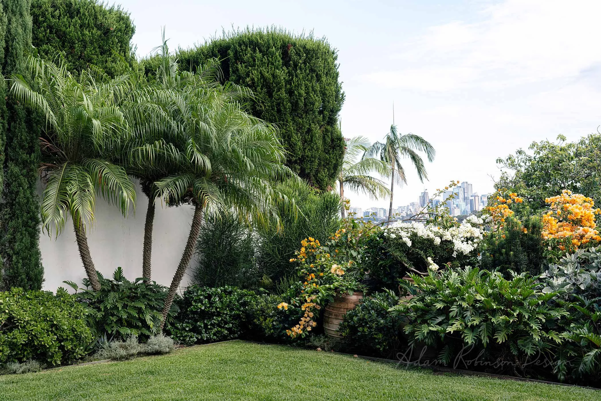 © ADAM ROBINSON DESIGN Residential Landscape Project DARLING POINT 3.jpg