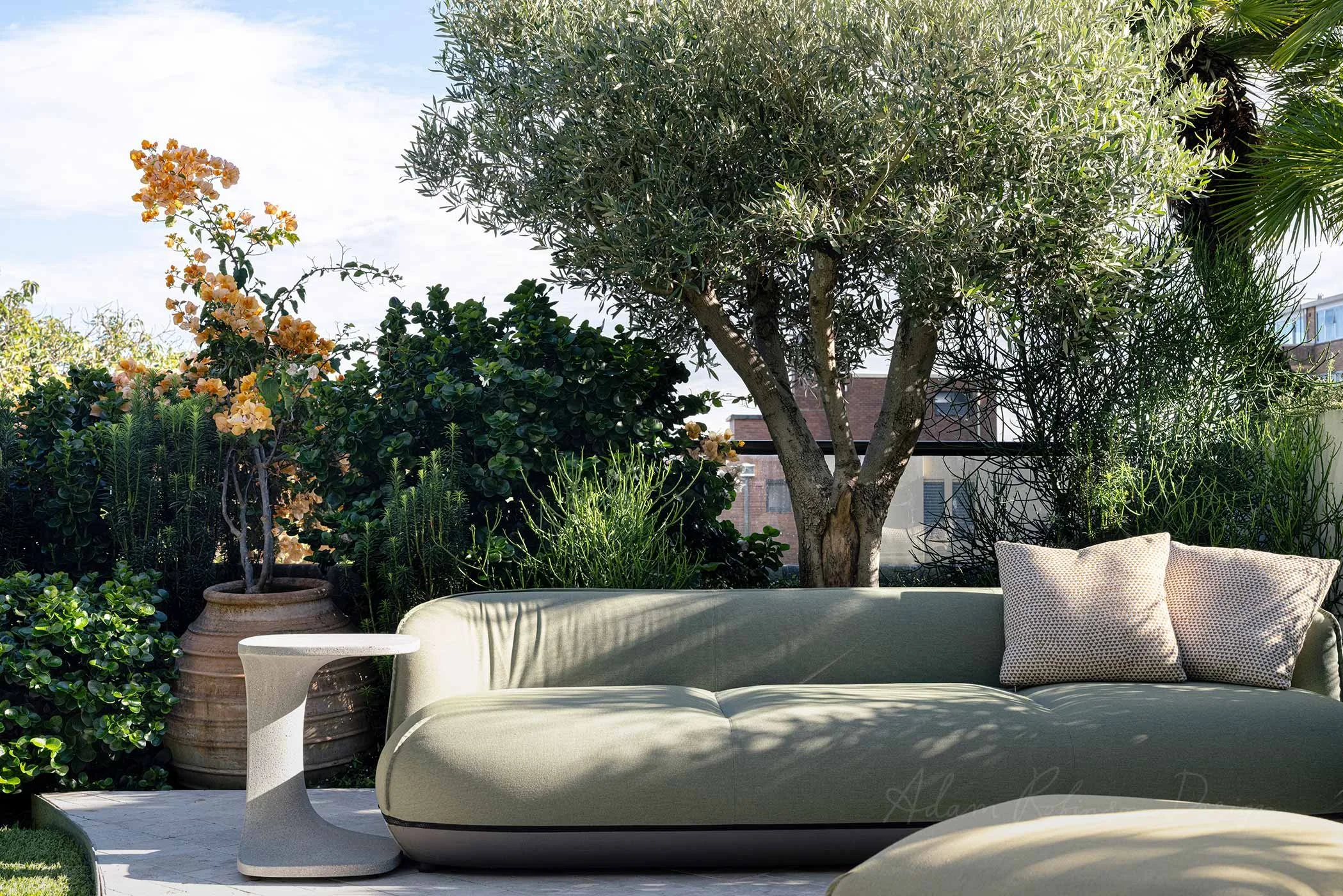 © ADAM ROBINSON DESIGN Residential Landscape Project DARLING POINT 4.jpg