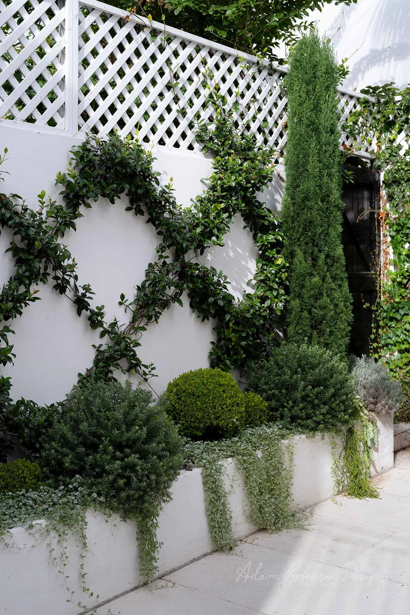 © ADAM ROBINSON DESIGN Residential Landscape Project PADDINGTON MODERN CLASSIC 6.jpg