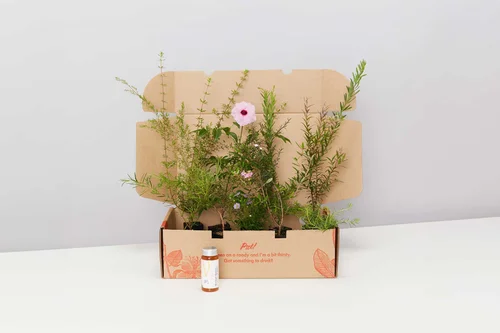 Plant Mail