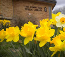 Lodi Public Library pic.jpg