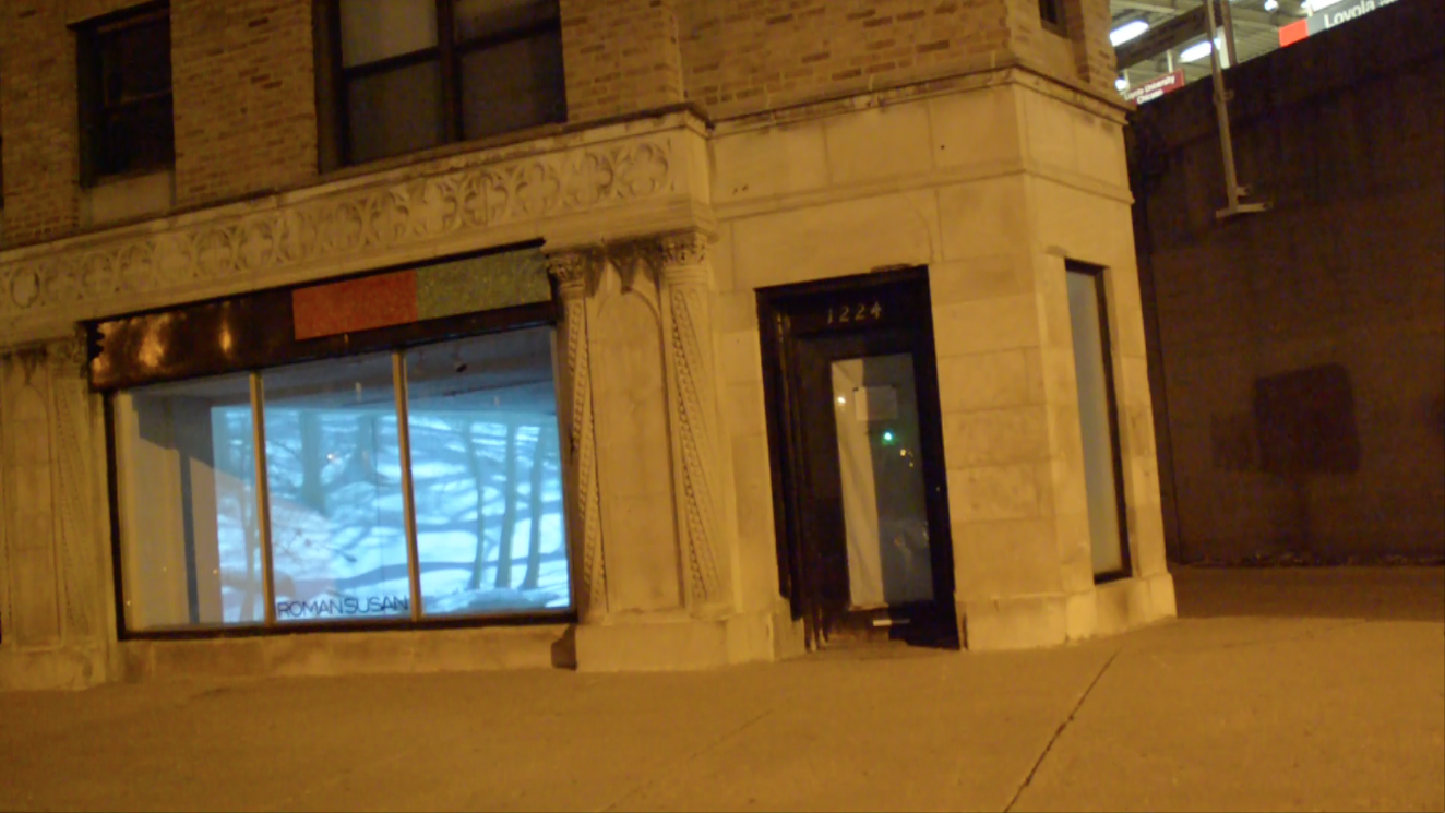 Street Lights (Night Screening), Roman Susan Gallery, 2016