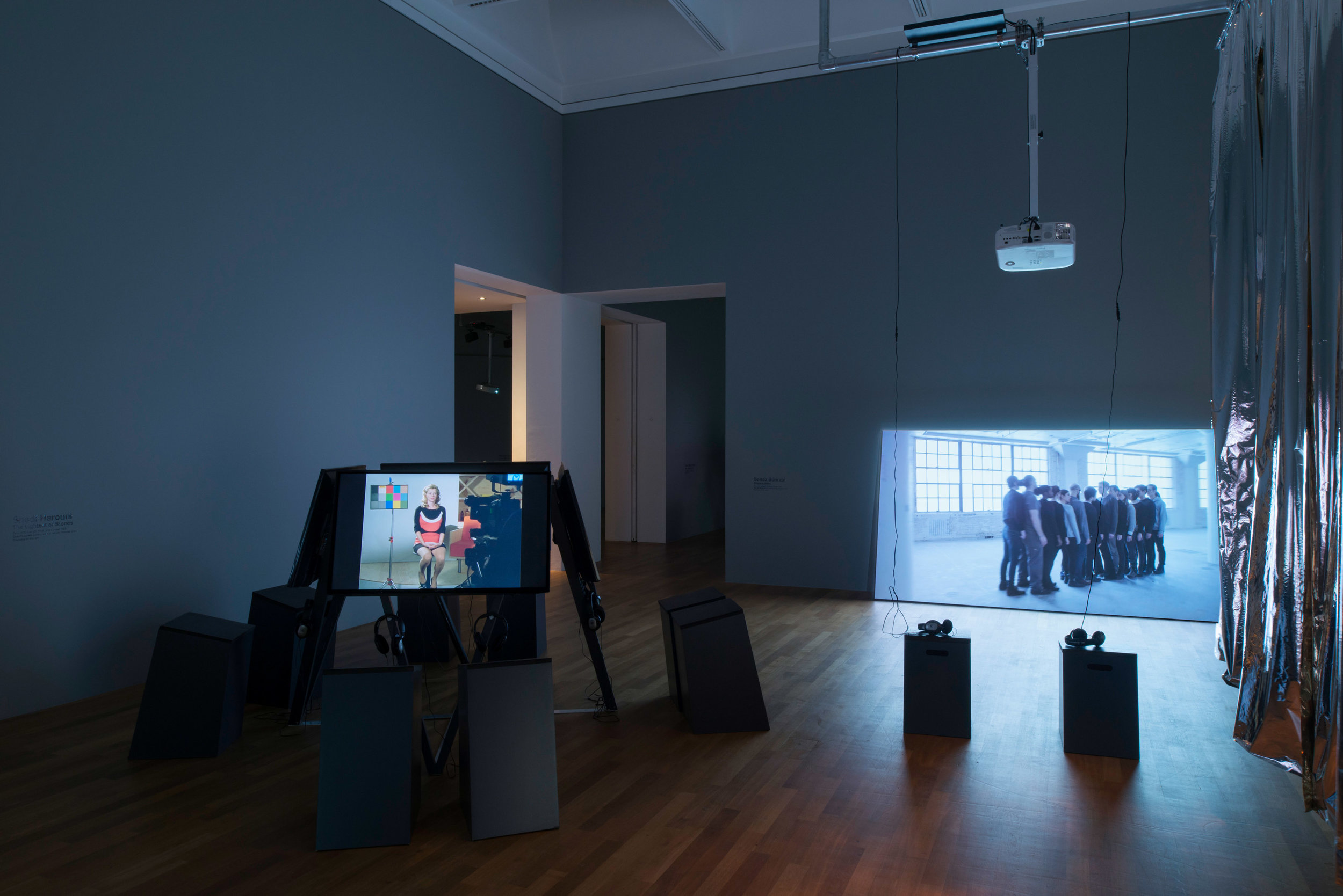 Installation view,  Videonale 16, Festival for Video &amp; Time-Based Arts, Kunstmuseum Bonn, Germany, 2017