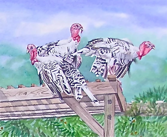 P1010024_4_3.JPG