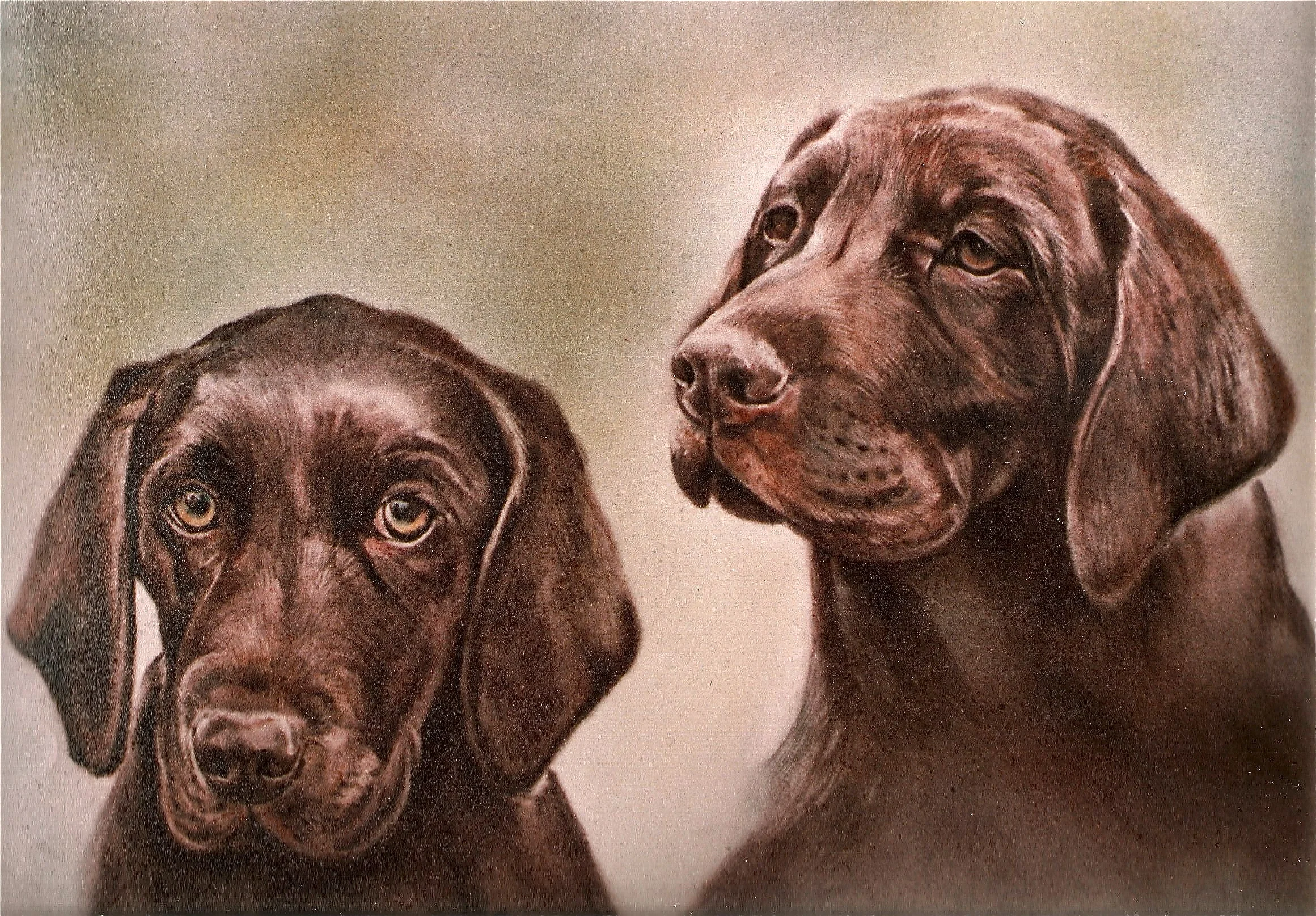 Scanned Image 111900014.jpg