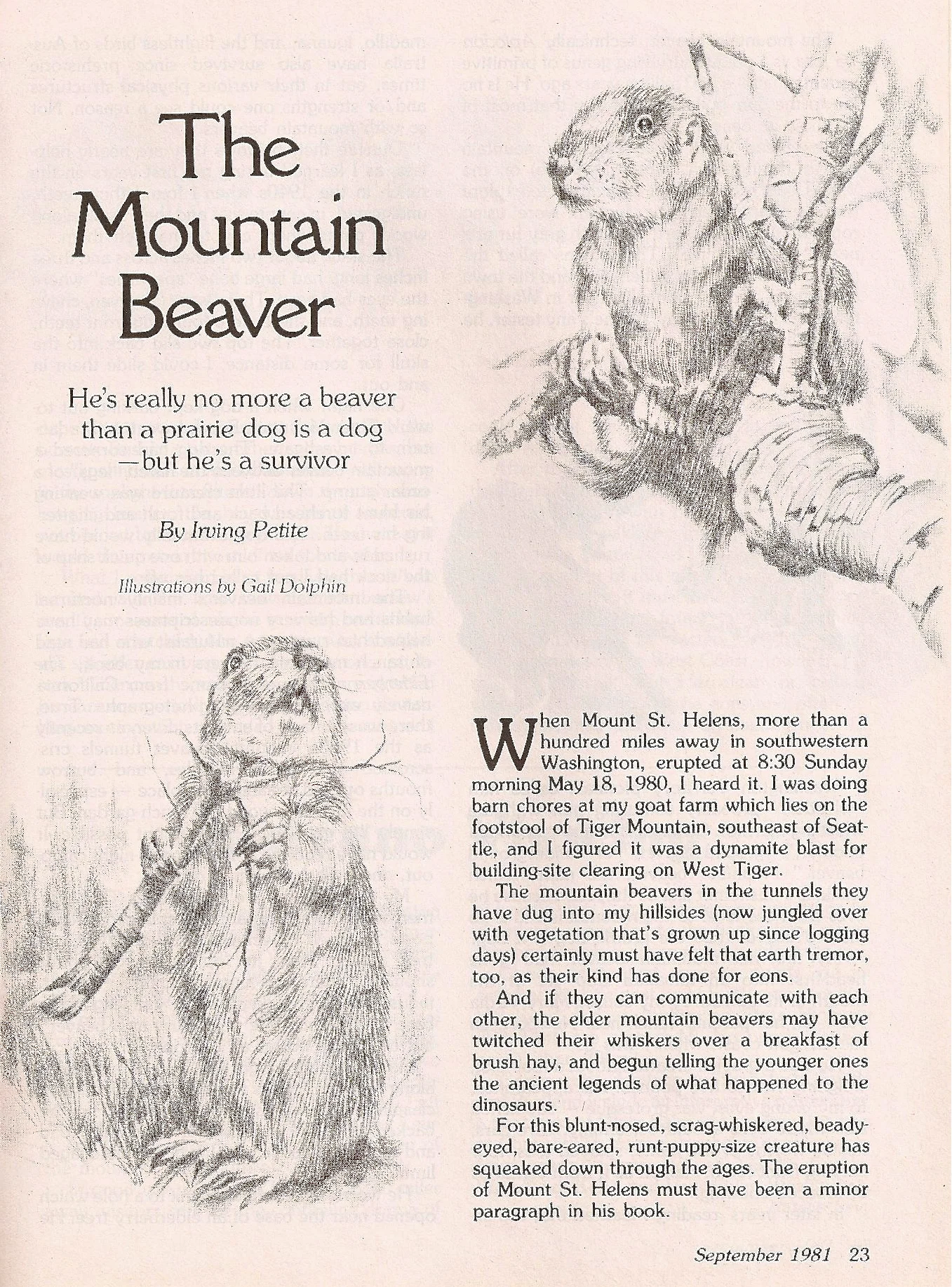 Scanned Image 111900029.jpg