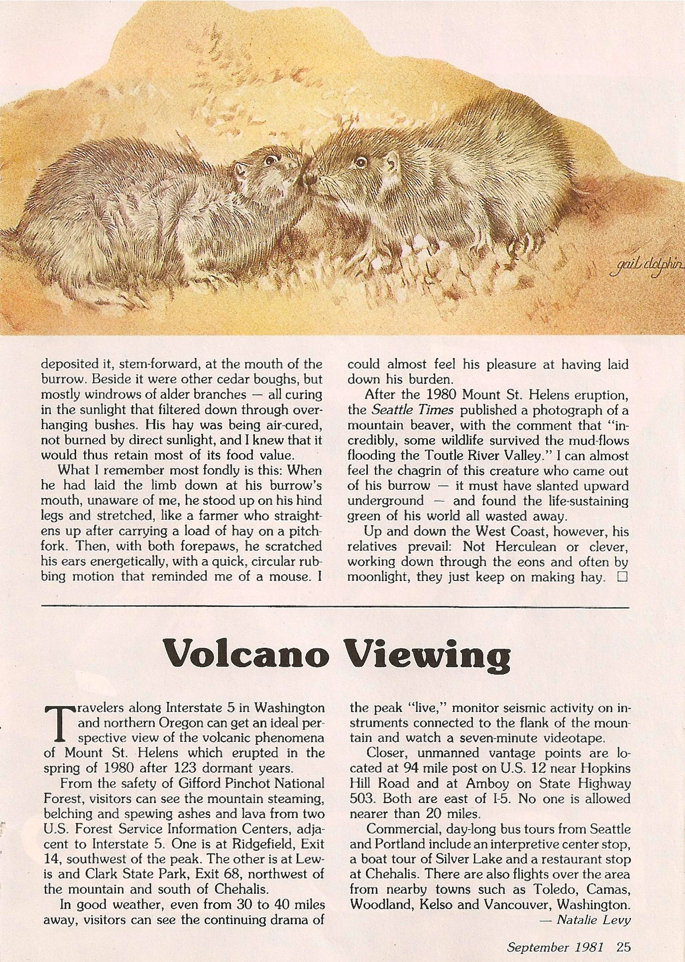 Scanned Image 111900030.jpg