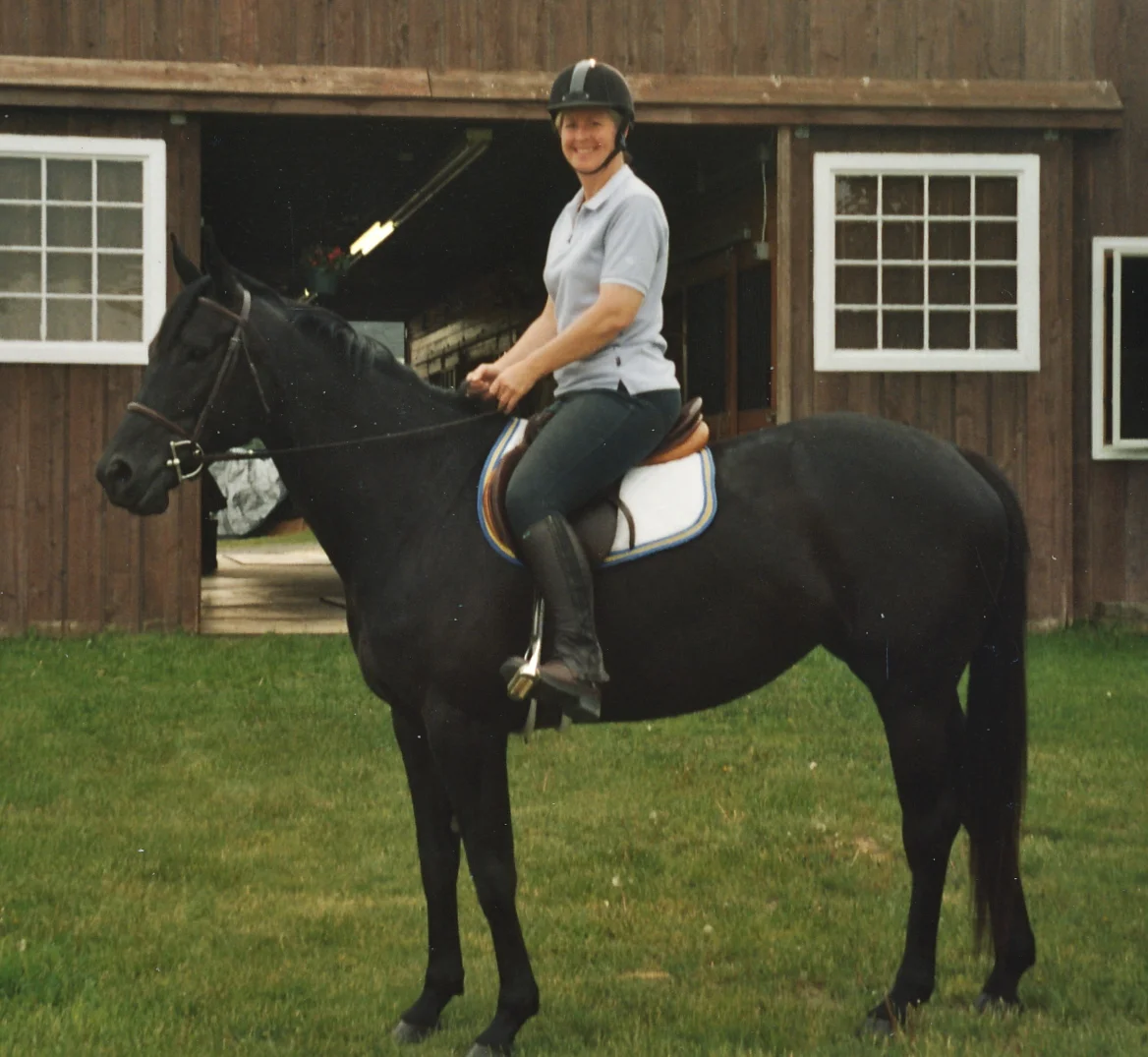 My Oldenburg Mare Tess