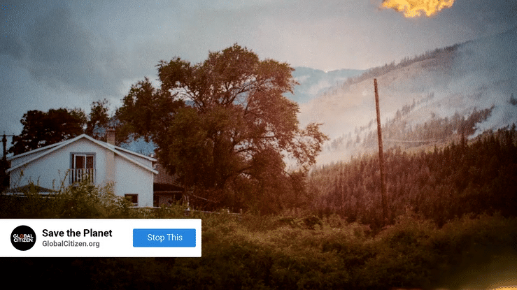Global Citizen_Google_ Make It Stop-high.gif