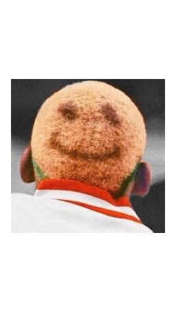 Dennis rodman Happy Face hair