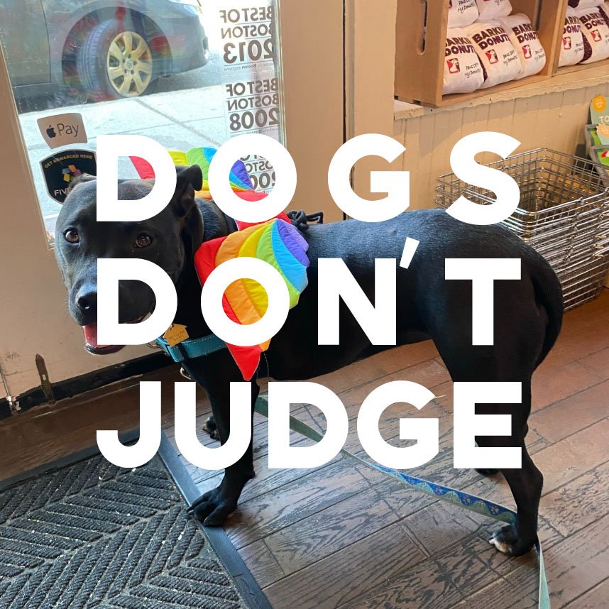 Dogs Don’t Judge