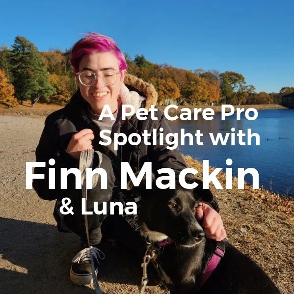 A Pet Care Professional Spotlight - Finn Mackin!