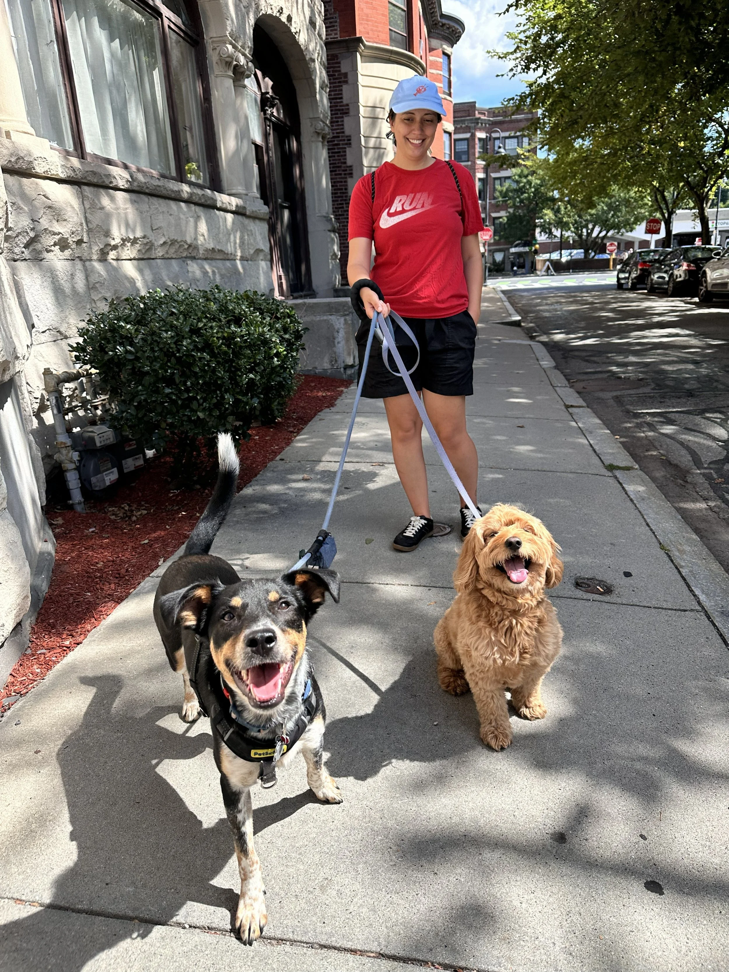   Freddie and Fred (you read that correctly) took a tour of Coolidge Corner with Alexa.  