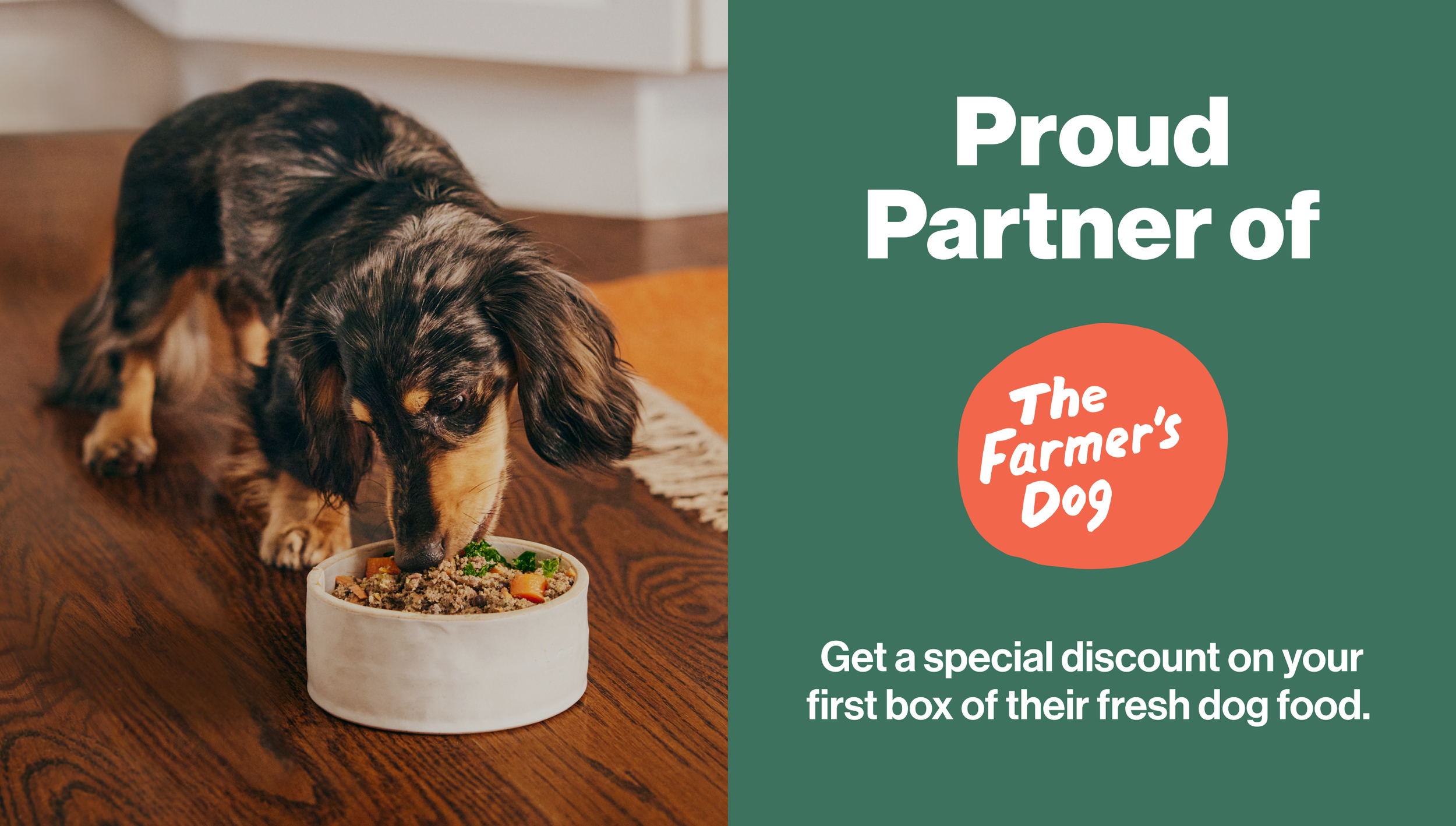 Fresh Dog Food — Boston Fetch