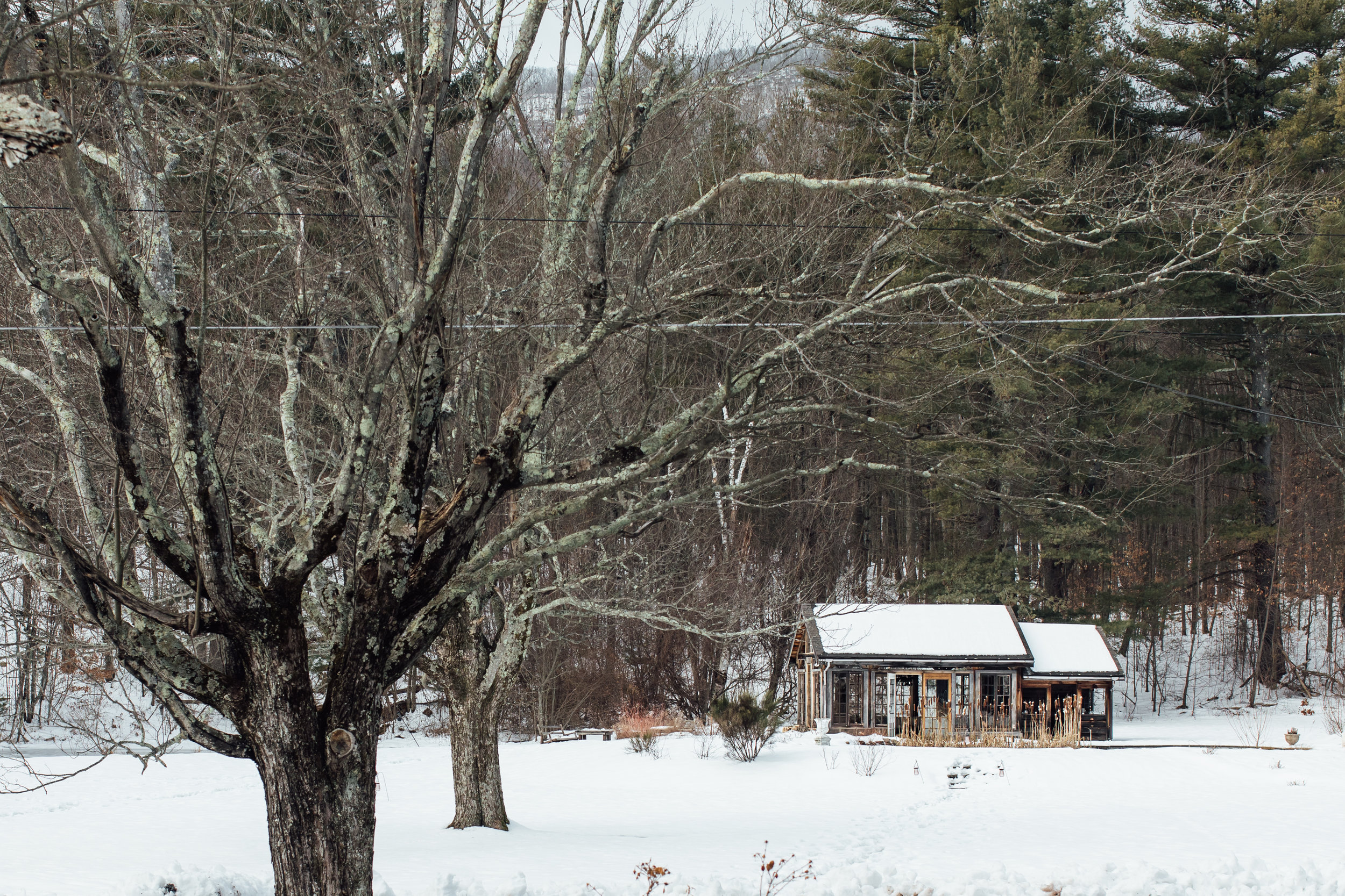 Catskills Editorial-55.jpg