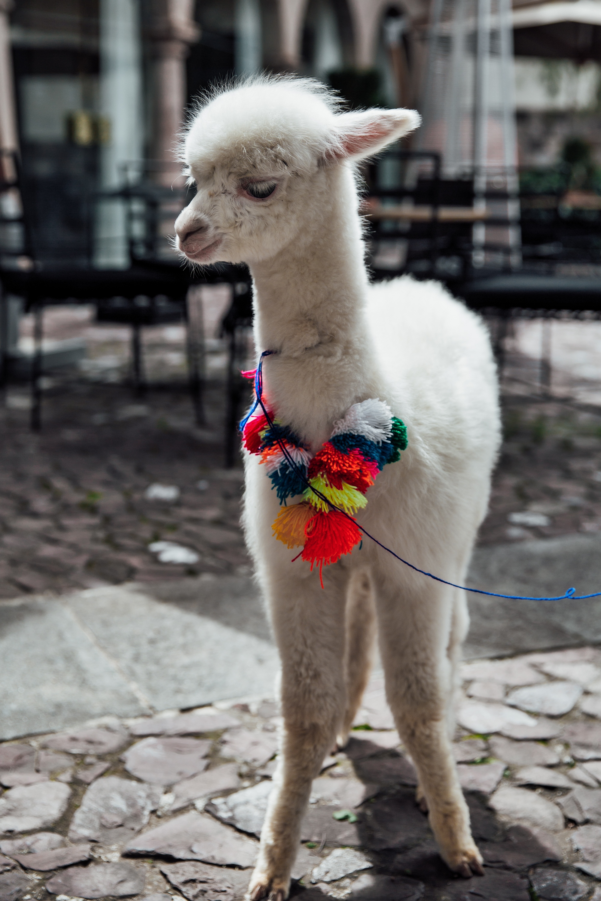 Peru-23.jpg