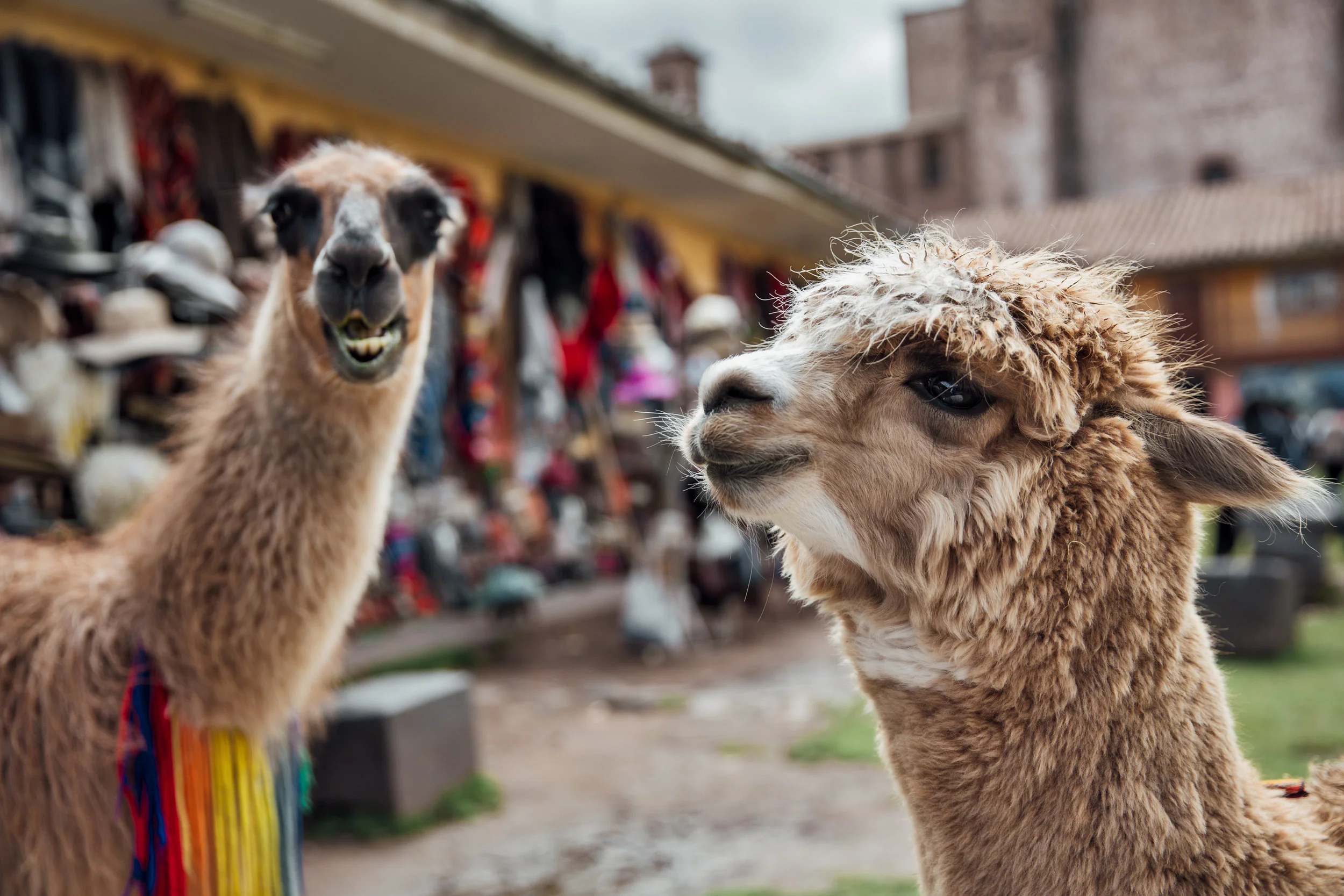 Peru-31.jpg
