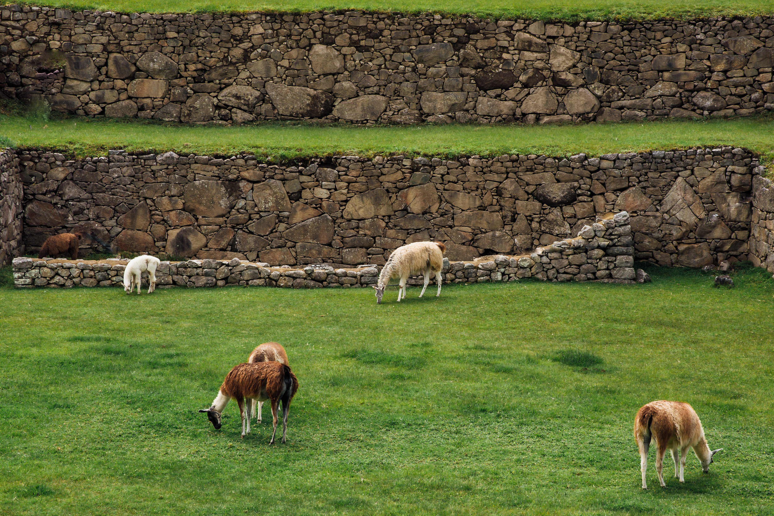 Peru-110.jpg