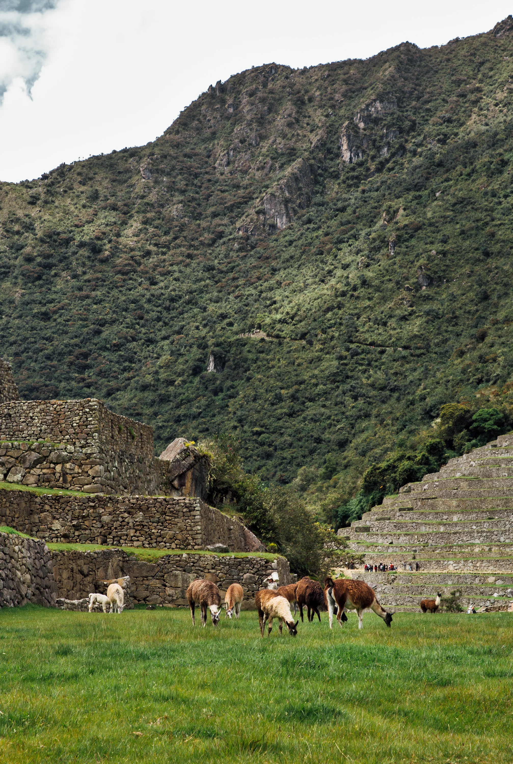 Peru-112.jpg