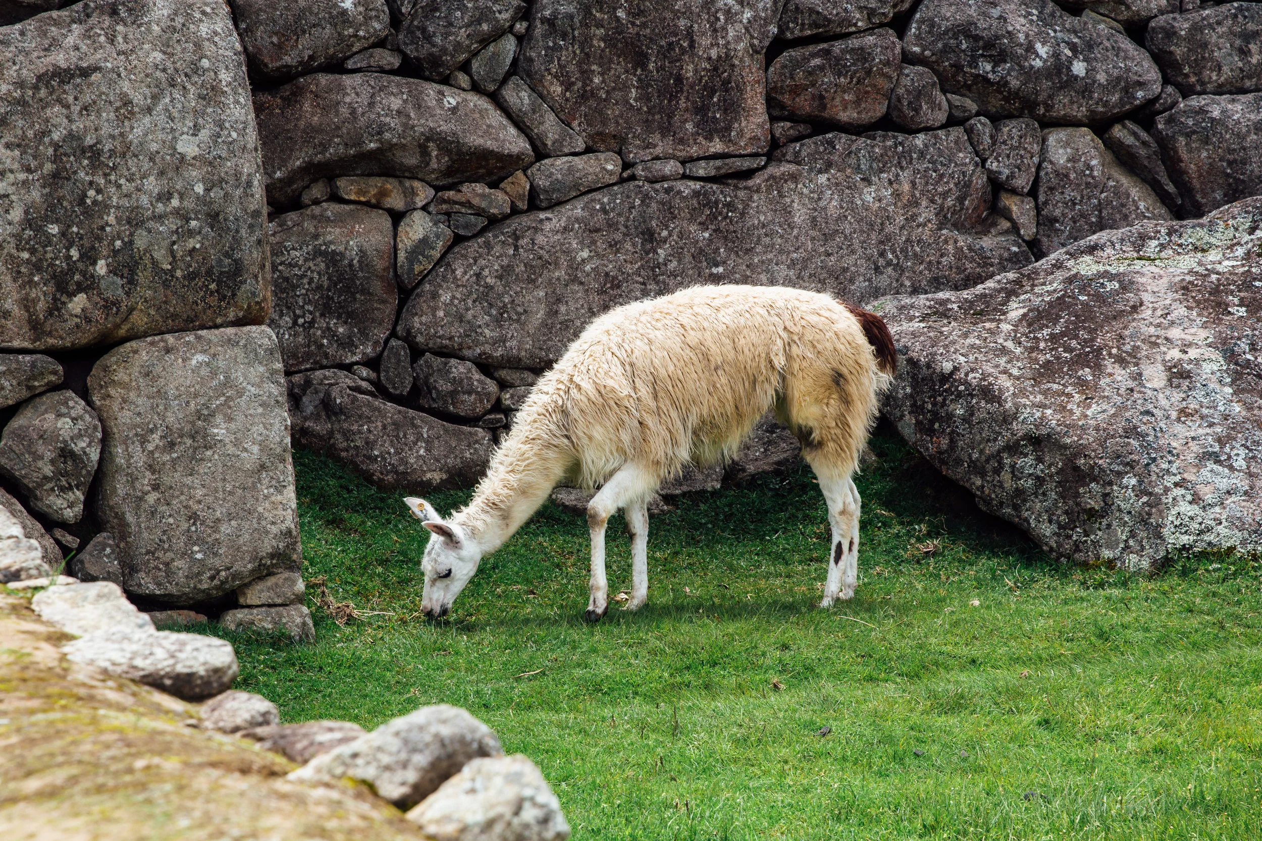 Peru-113.jpg