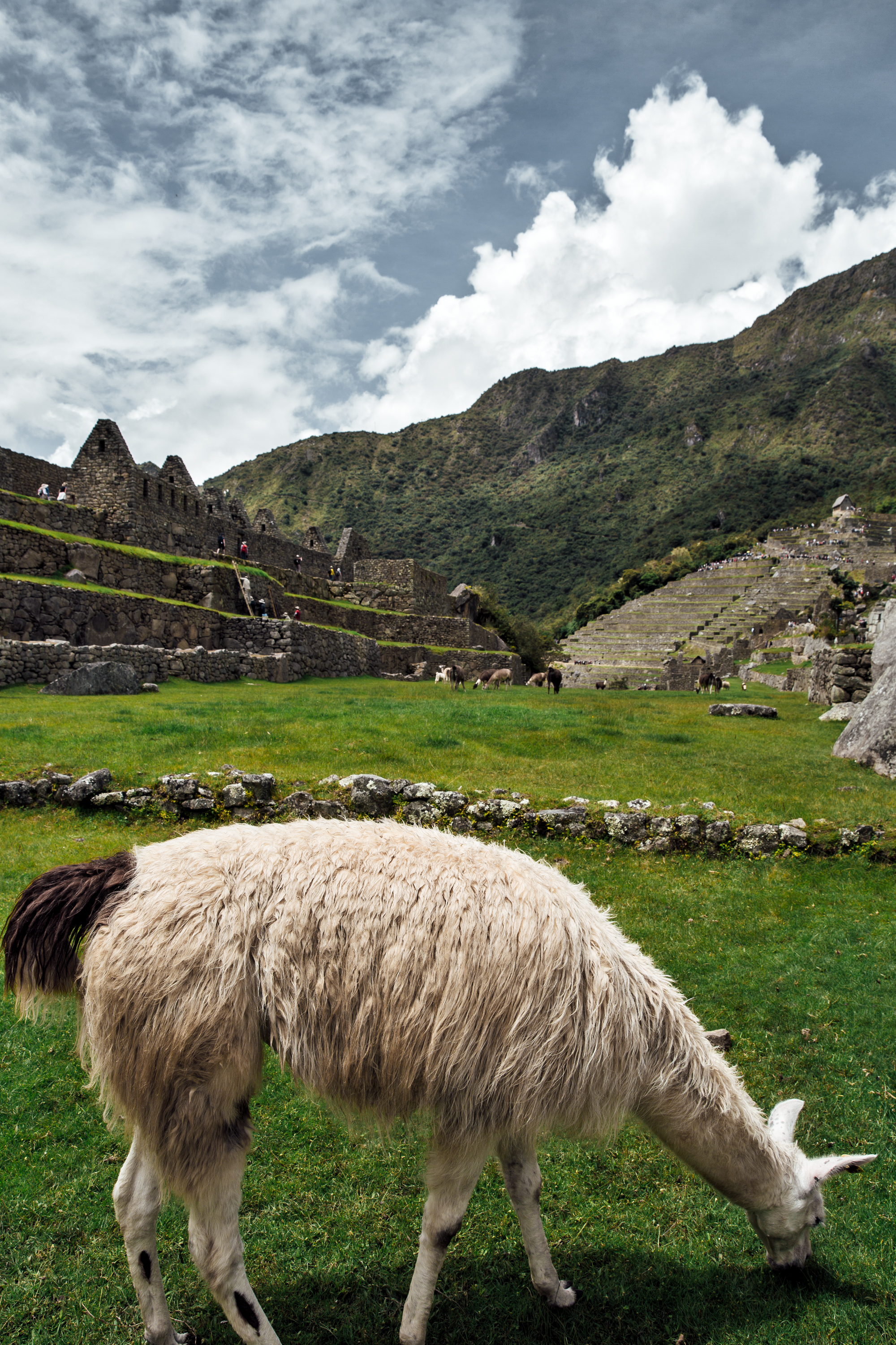 Peru-115.jpg