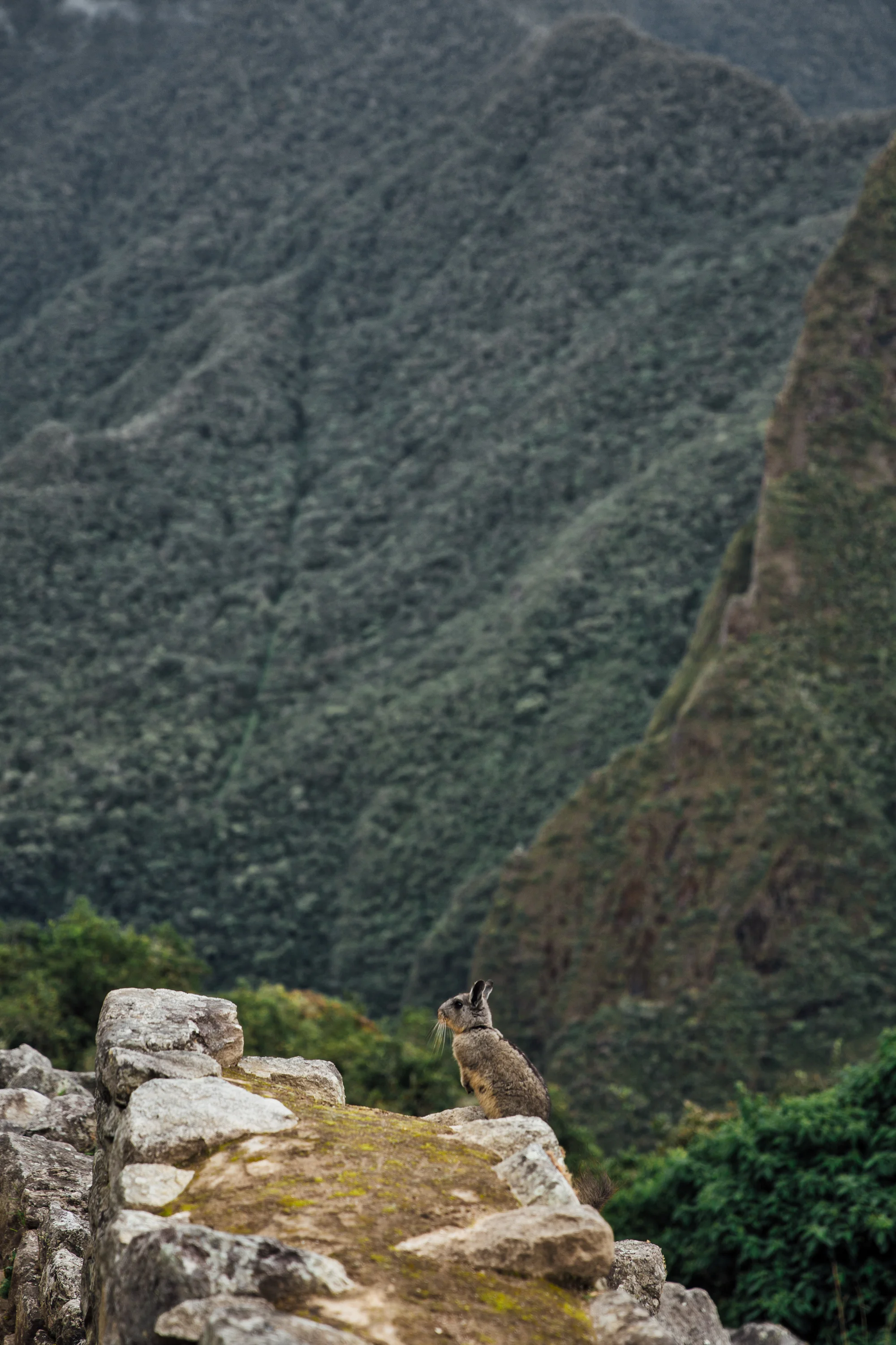 Peru-118.jpg
