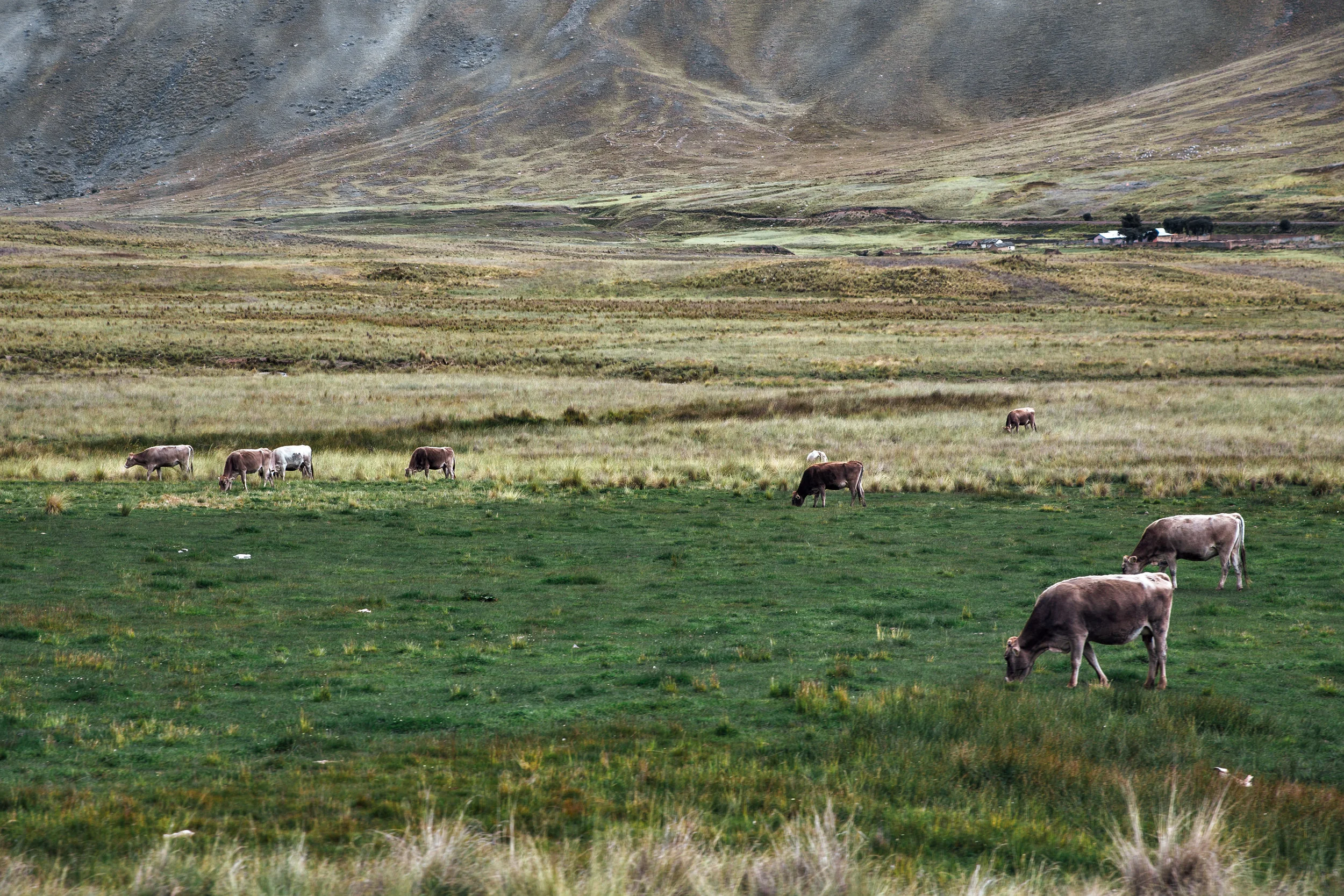 Peru-154.jpg