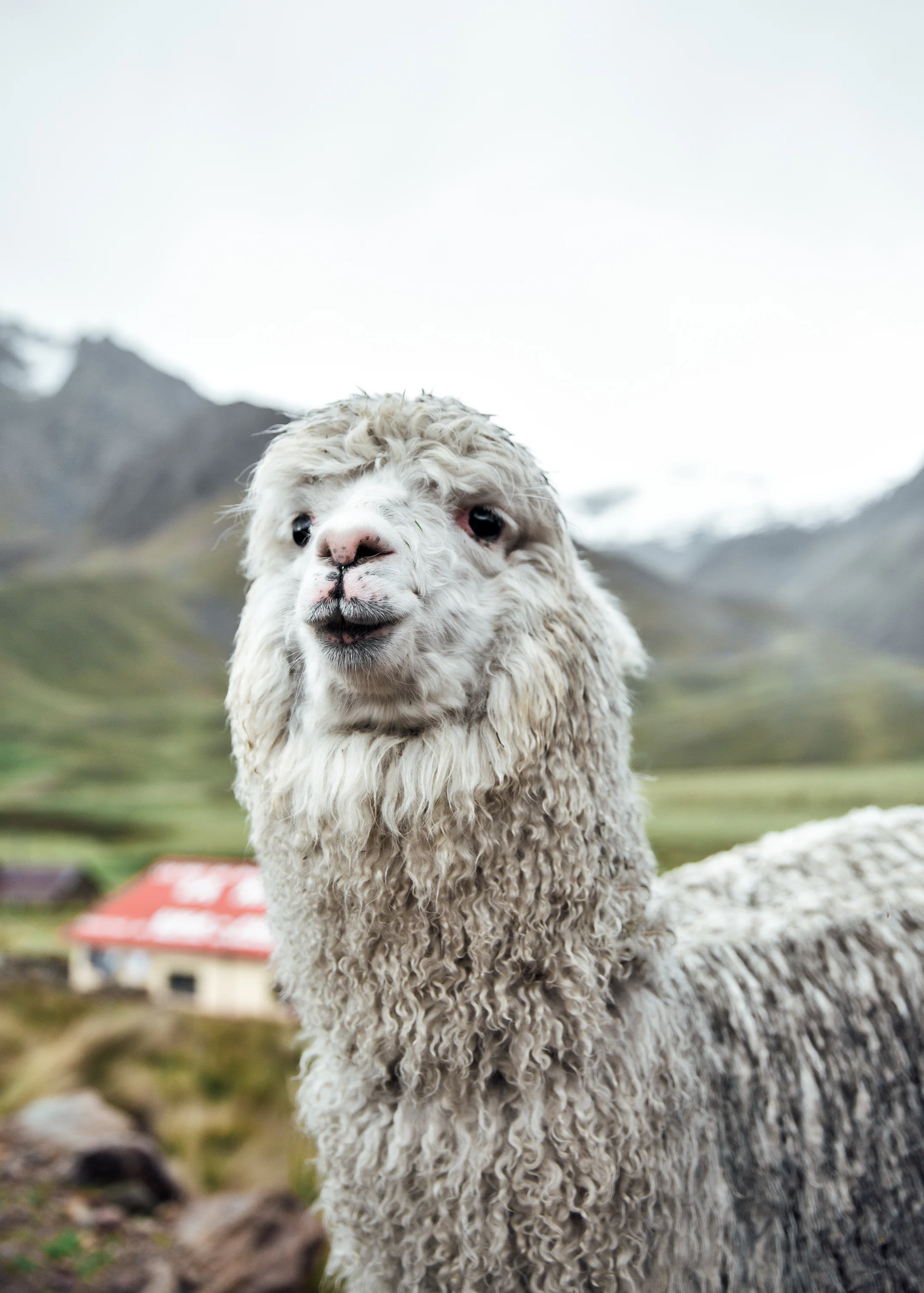 Peru-158.jpg