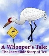 A Whooper's Tale