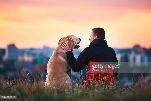 Photo by Chalabala/iStock / Getty Images