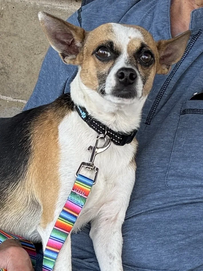 Buster