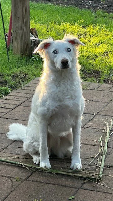 Leeloo
